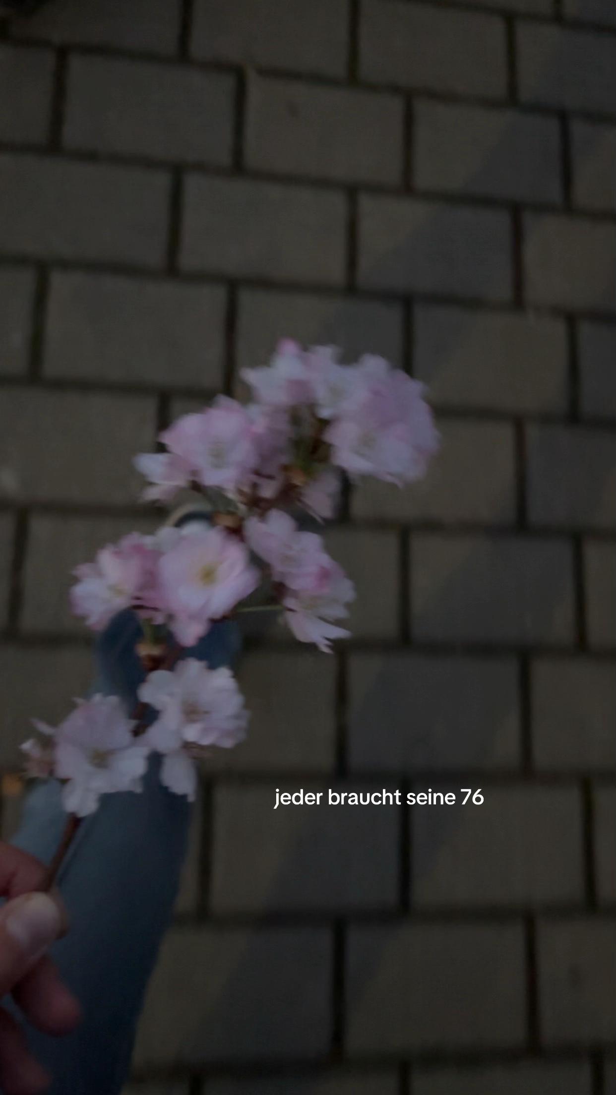 @𝐮𝐬𝐞𝐫.𝐚𝟏𝟔