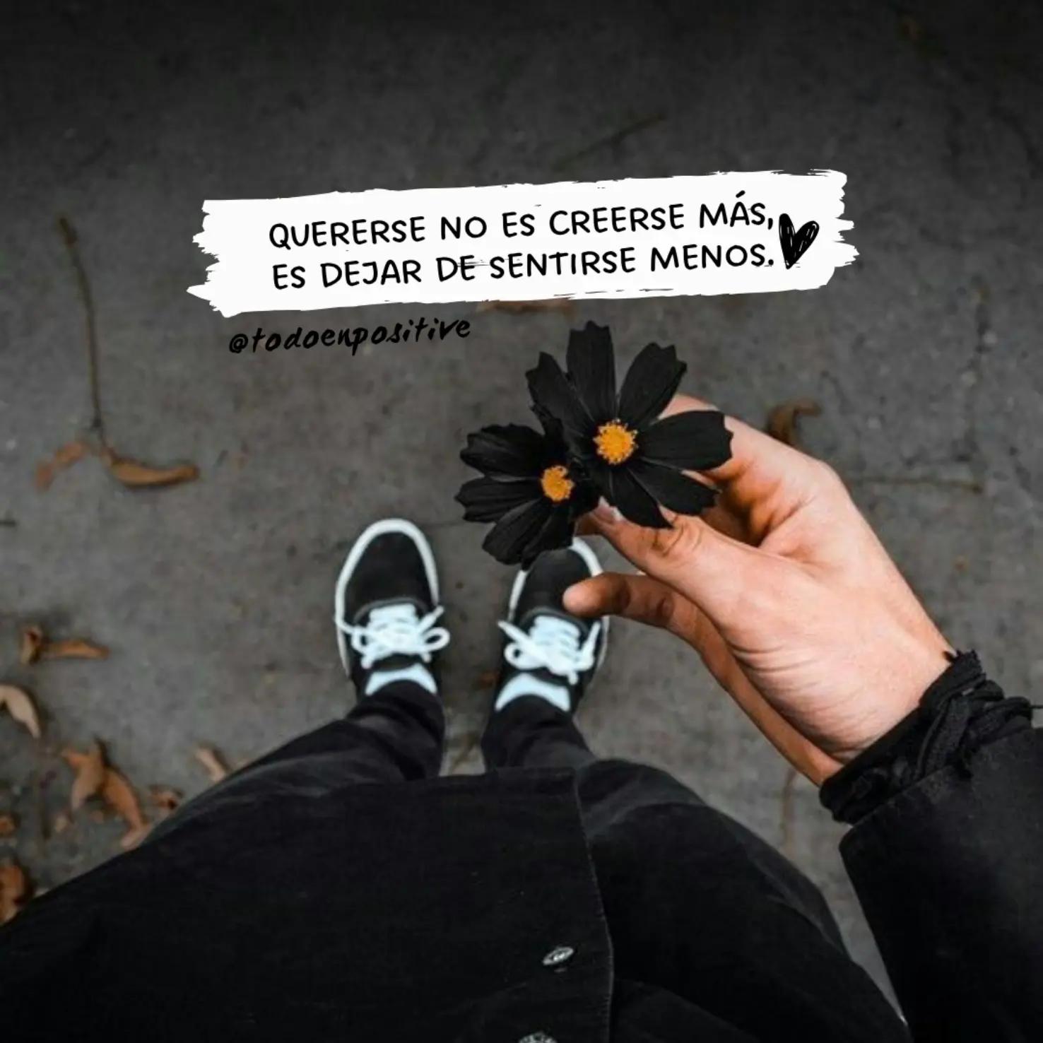 @Todo en Positivo🌻