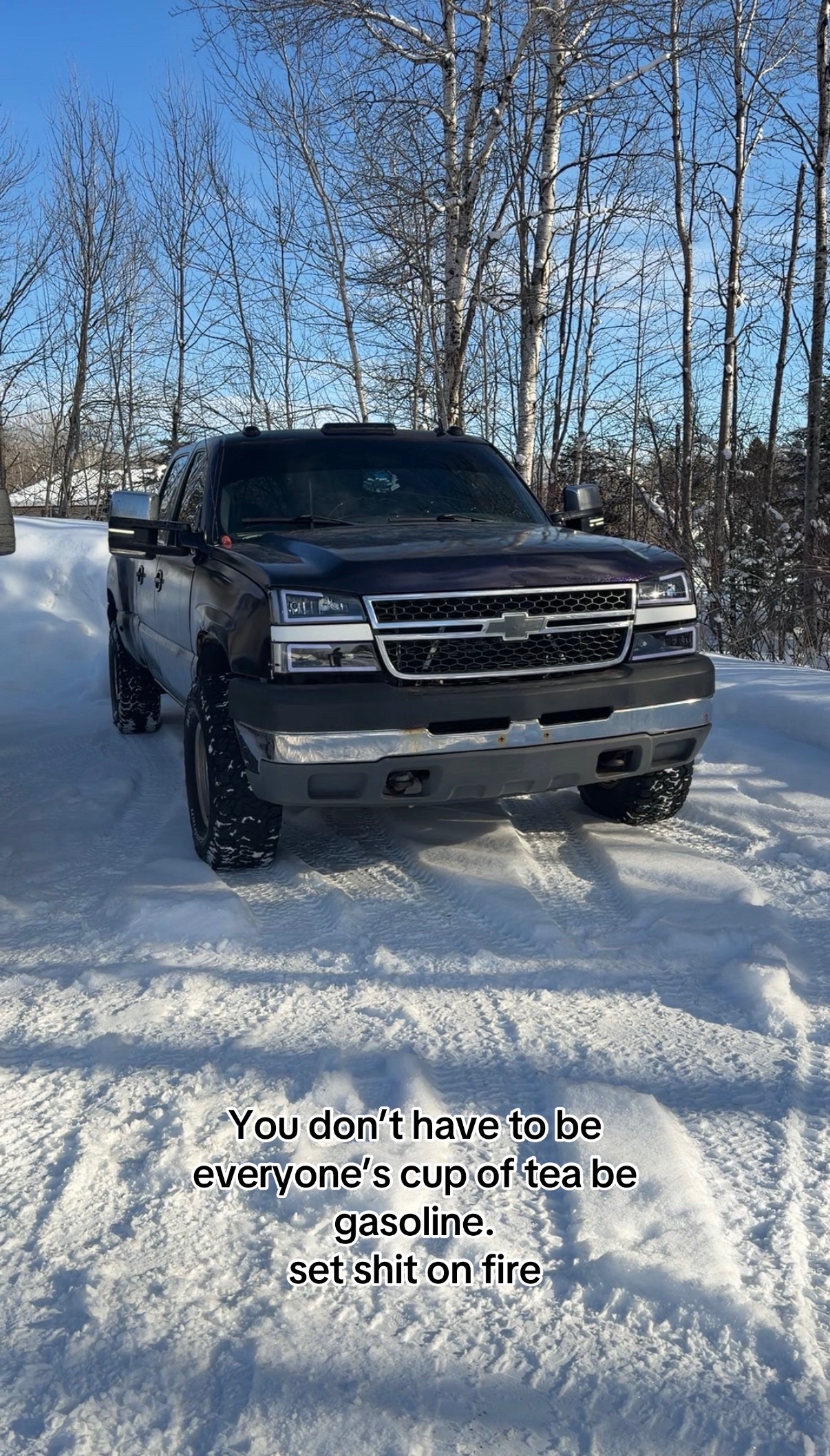 @6.6Velm