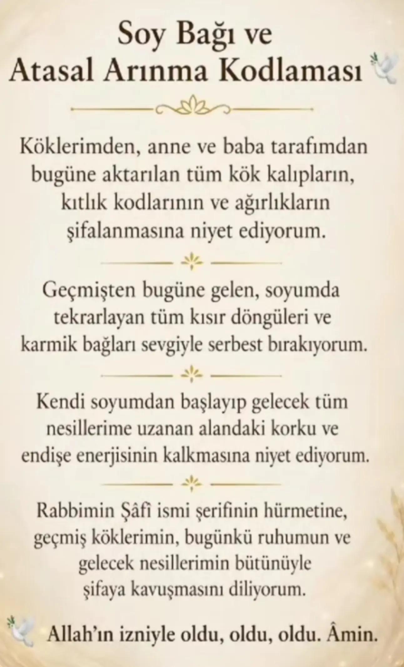 @metafizik bioenerji HK
