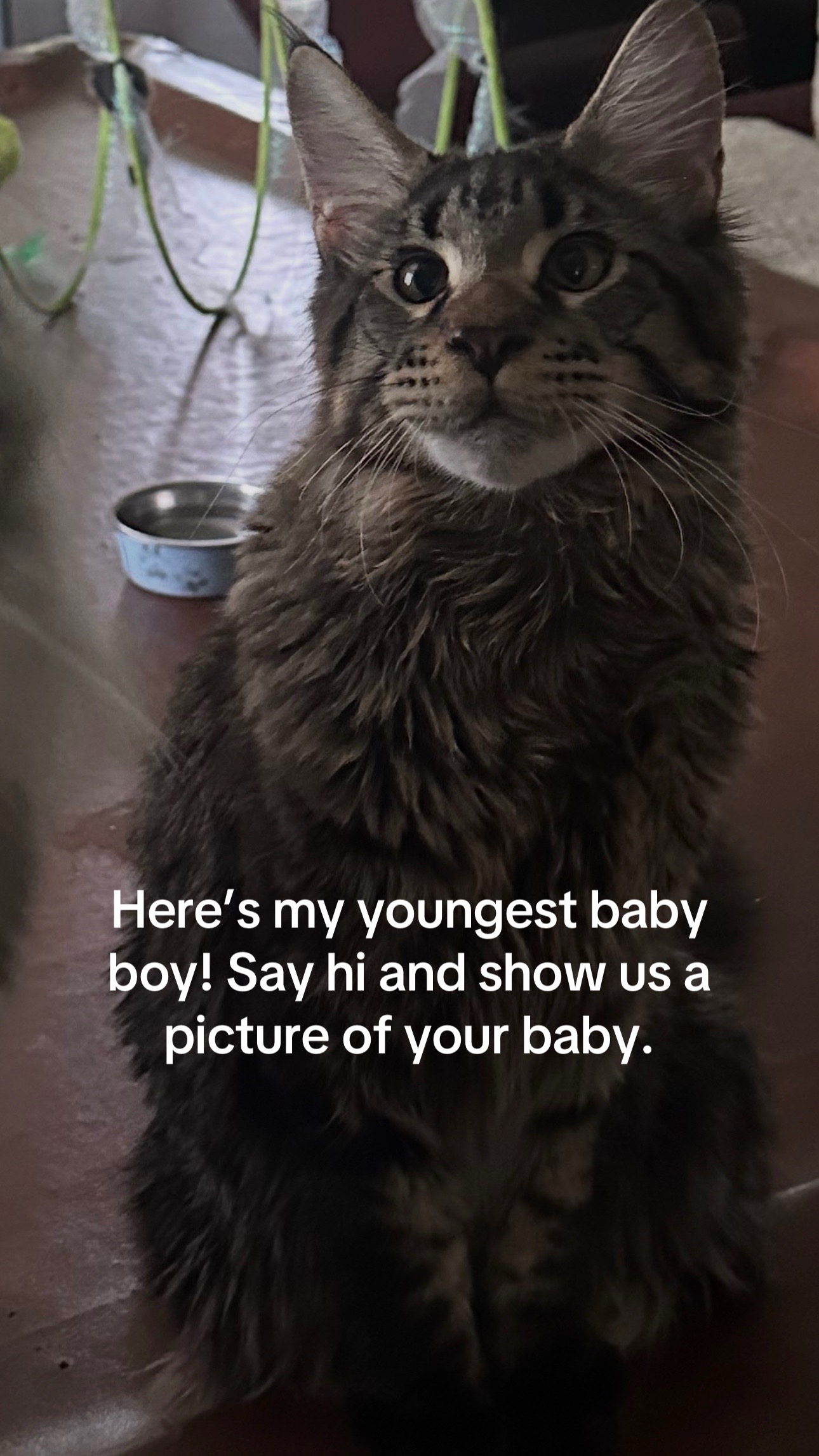 @Laura Lee