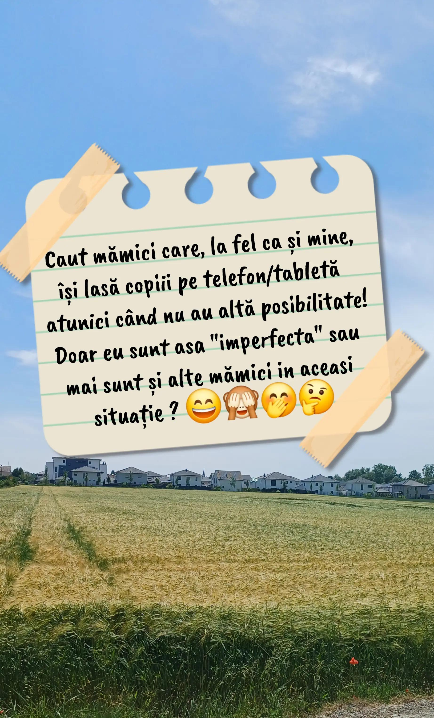@Raluca RaLu