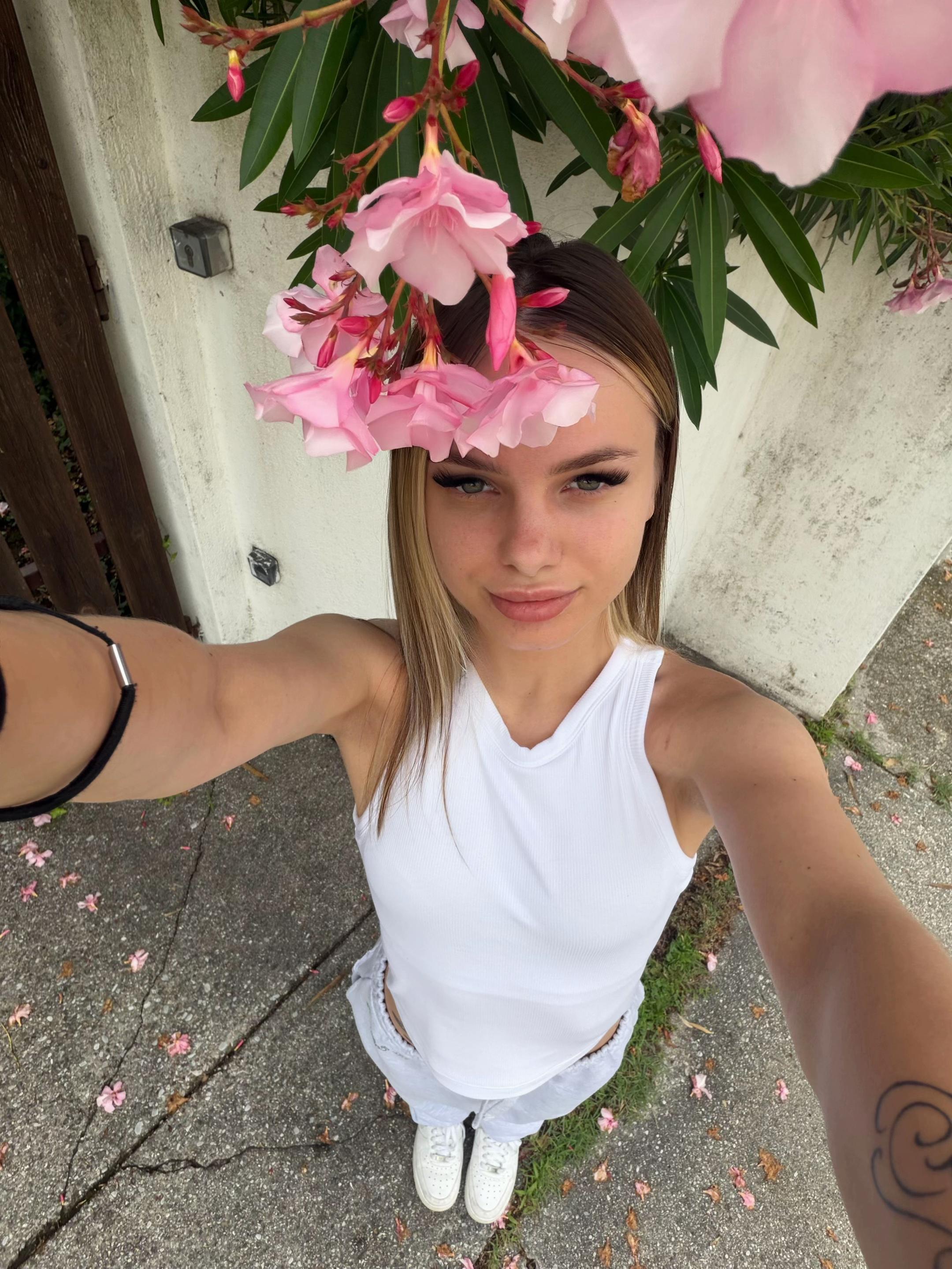 @orhideaa