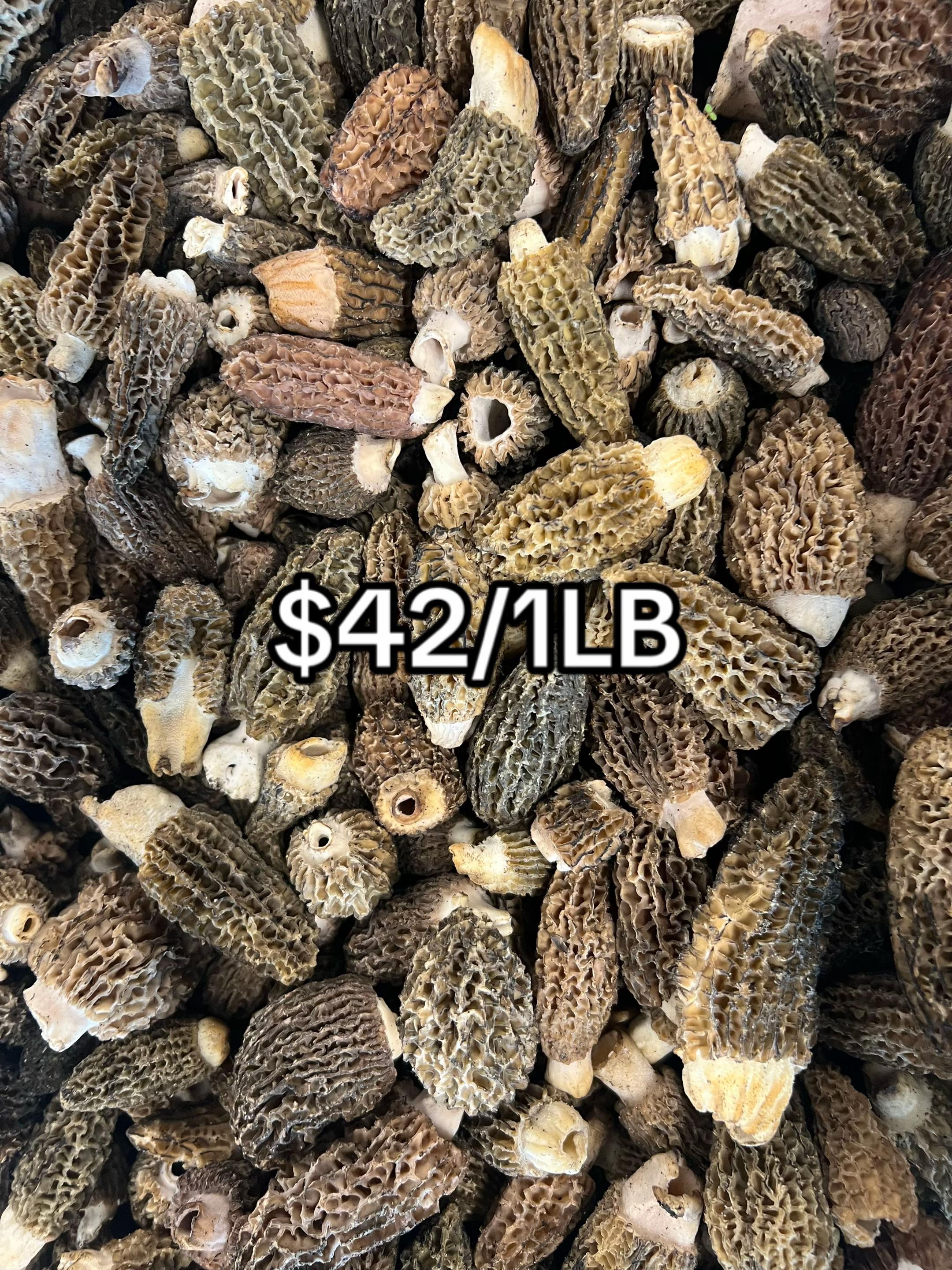 @The Mushroom Hub