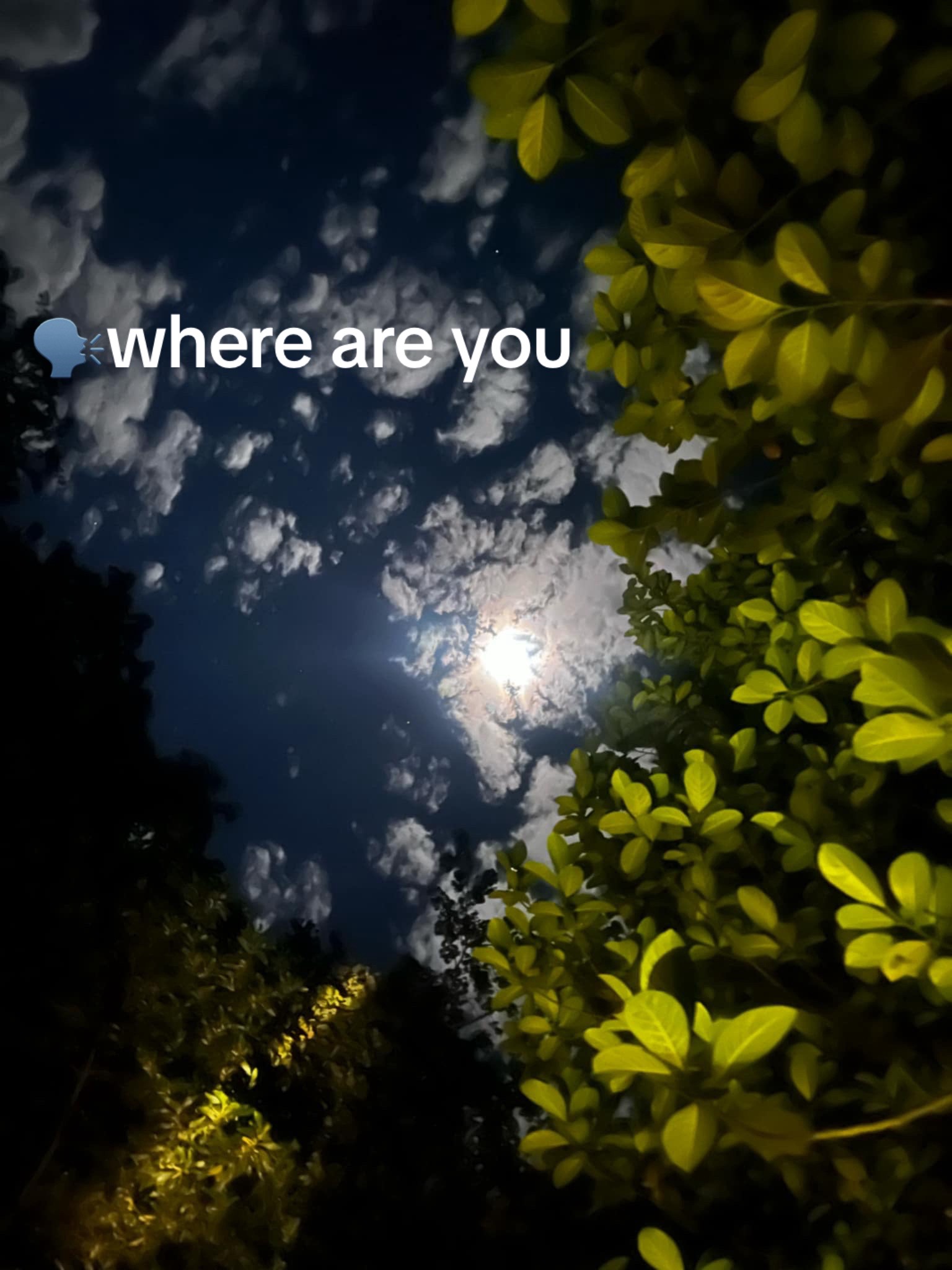 @hold__0n
