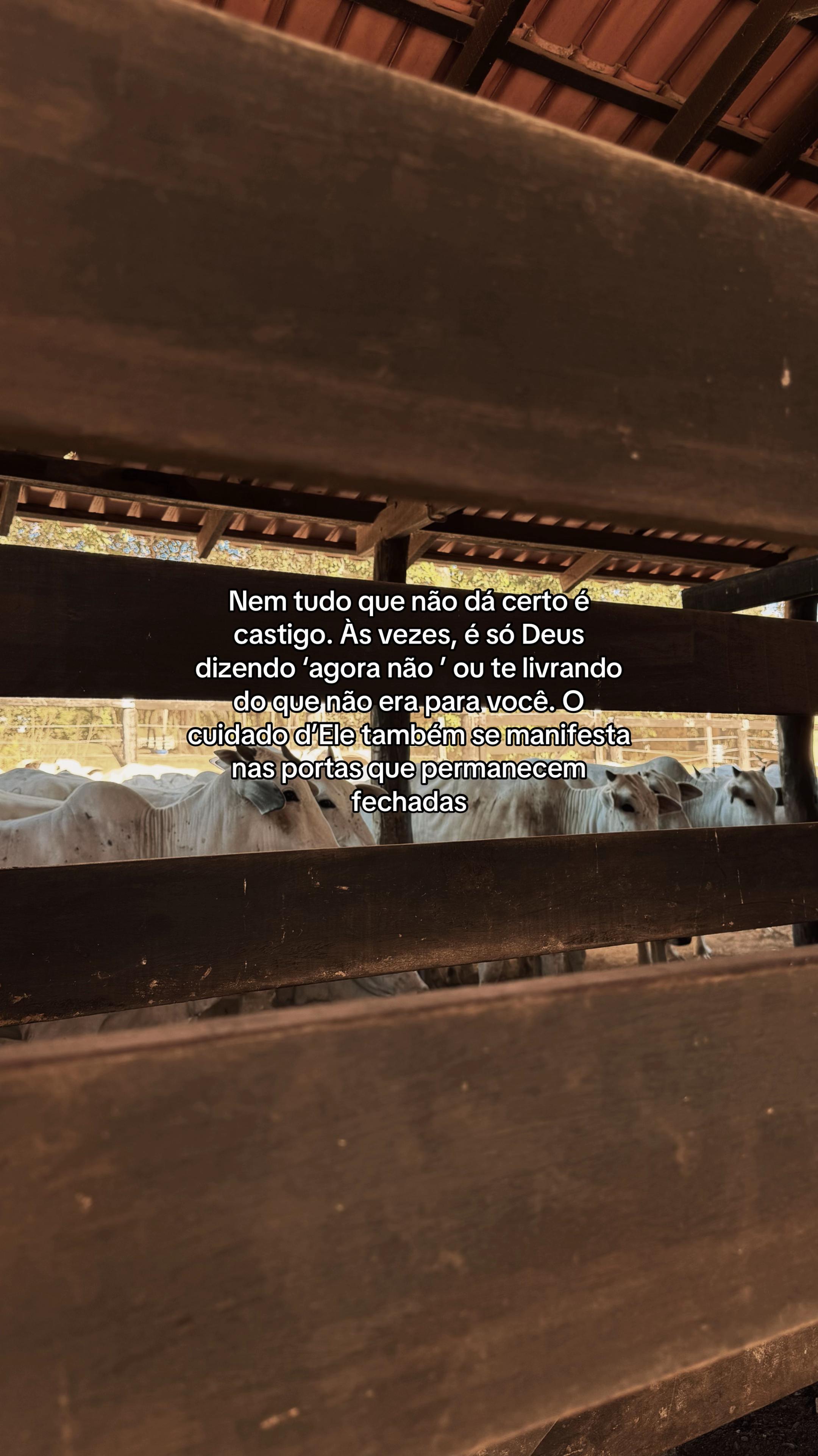 @Bia Rodrigues