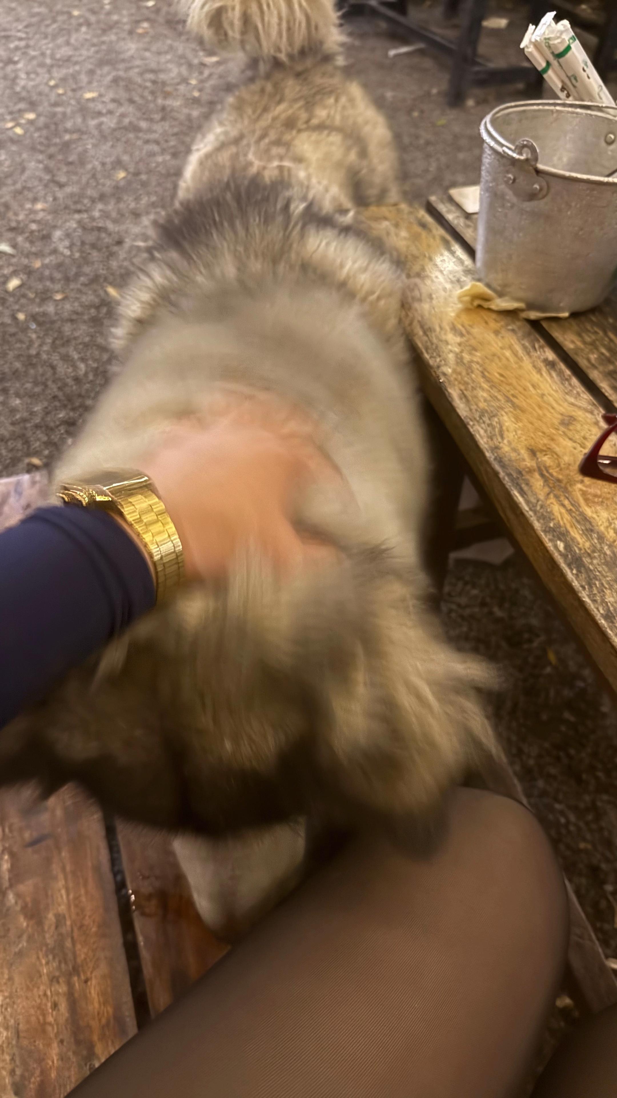 @đá´şđ