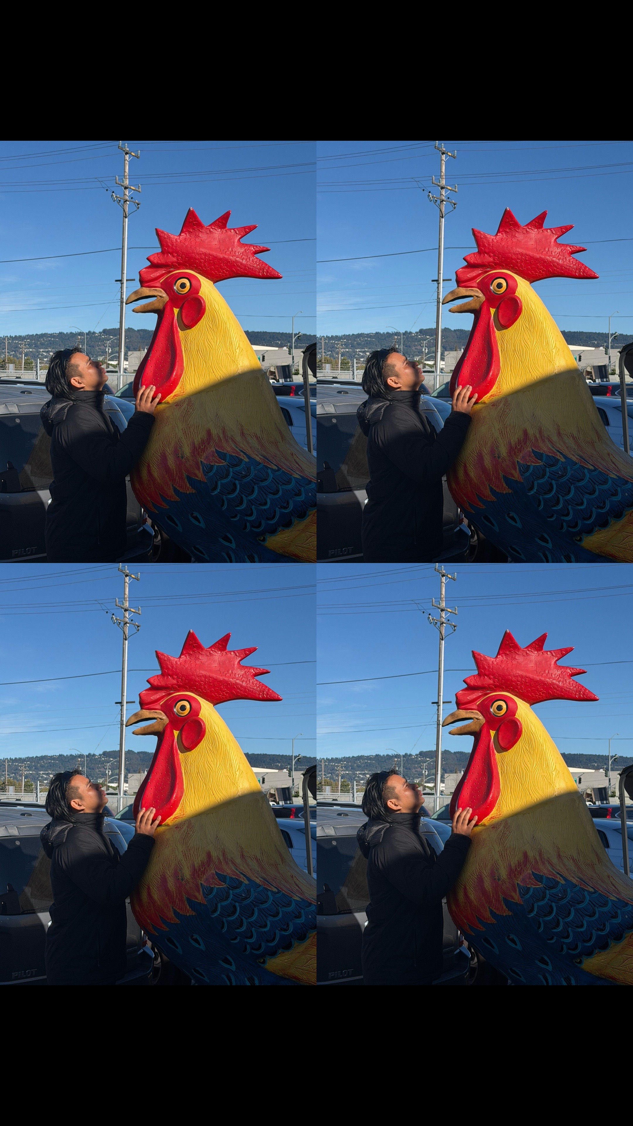 @mohan