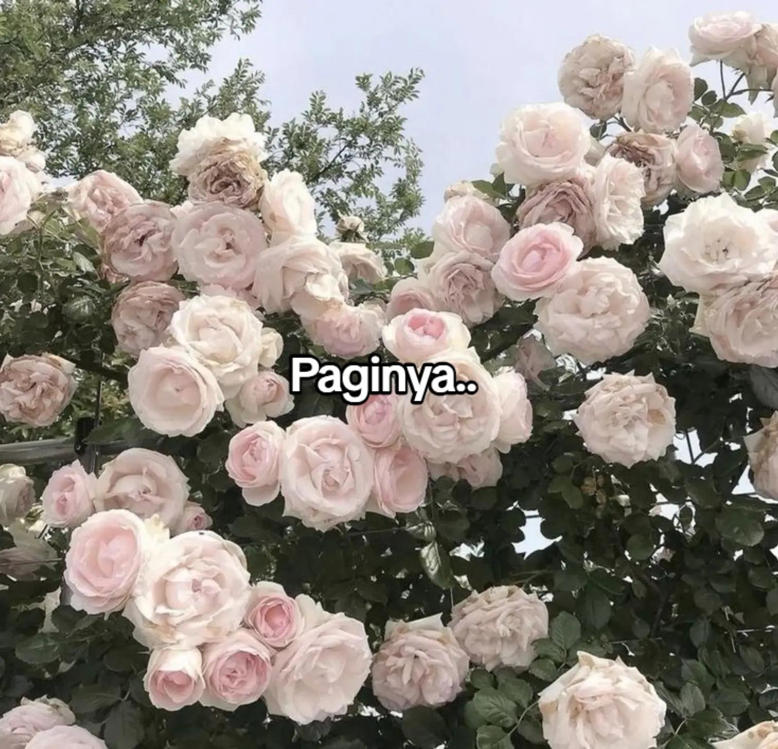 @Skyzy A.