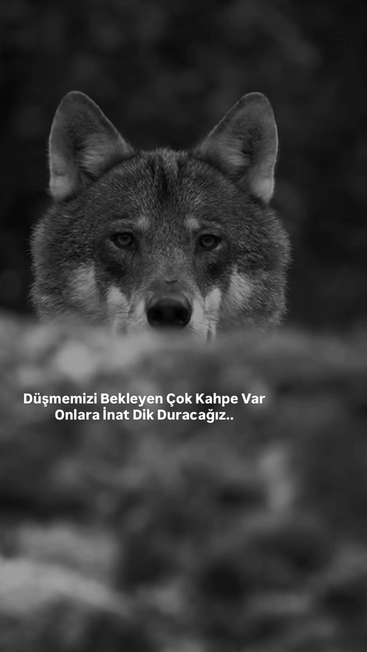 @Bülent ERKUŞ