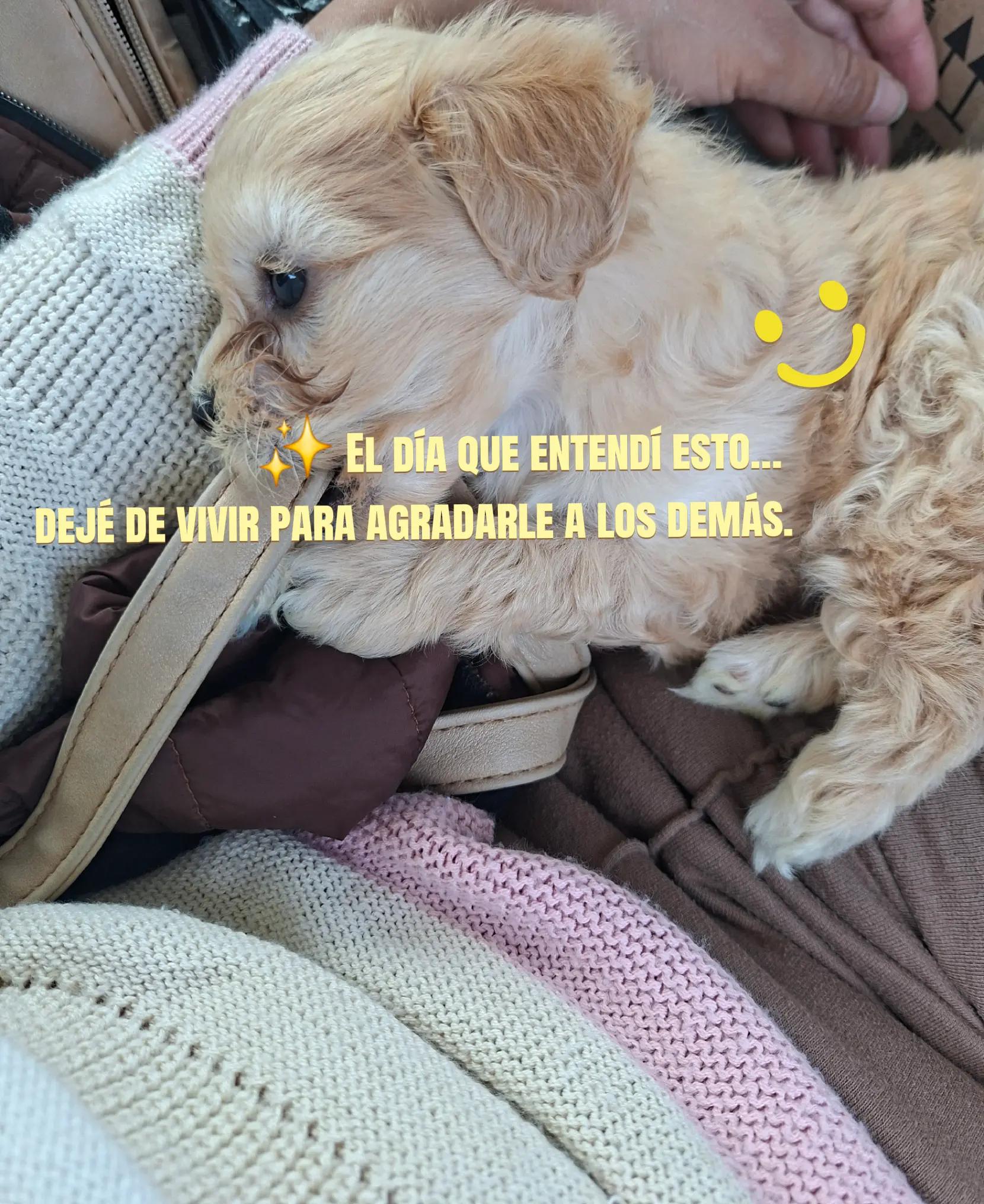 @Mary