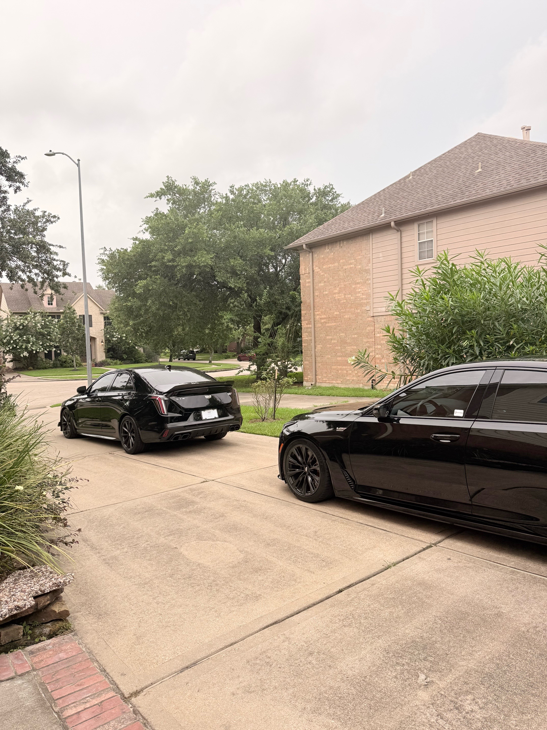 @Cadillac from Ty