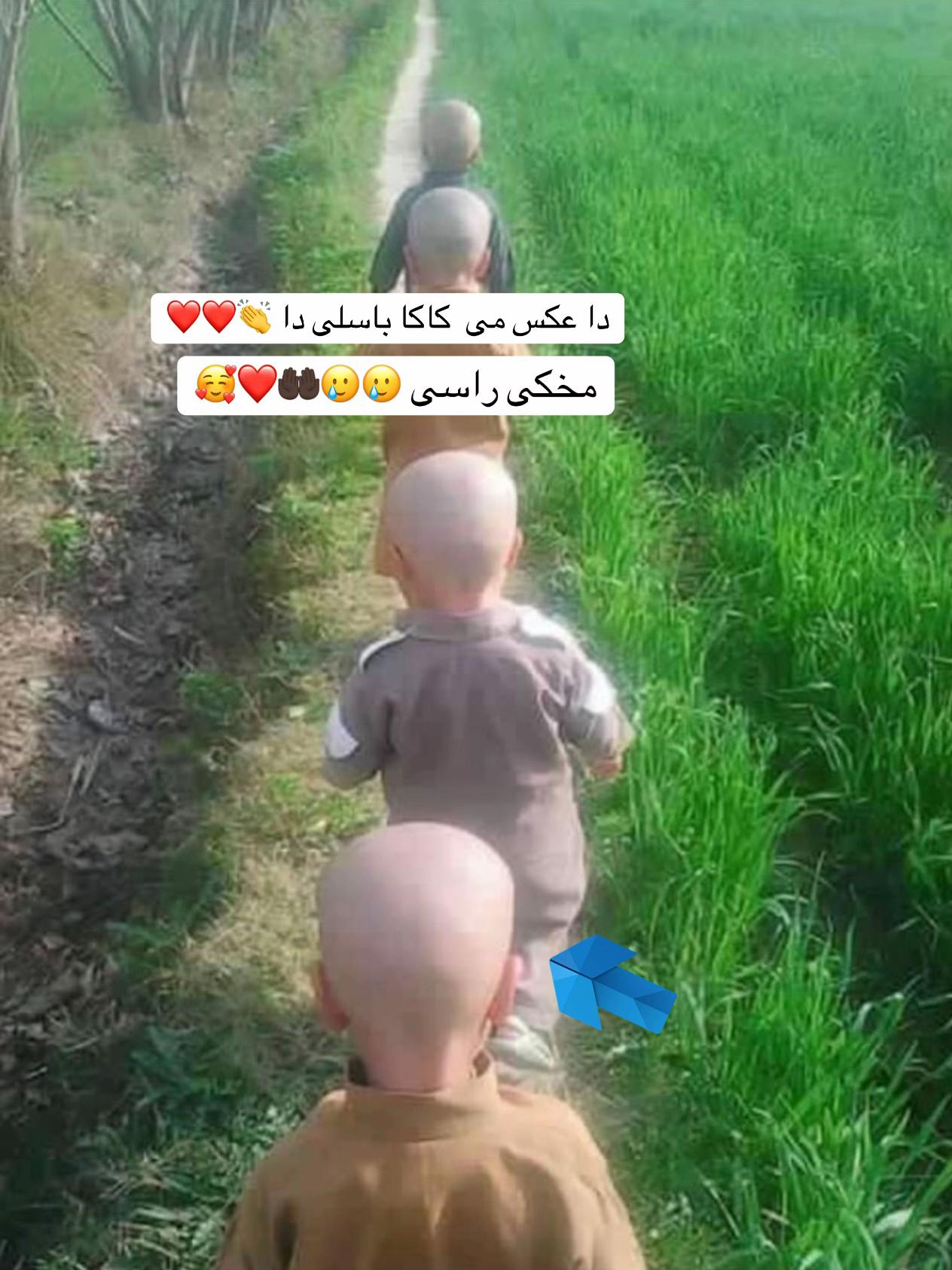 @Mustafa