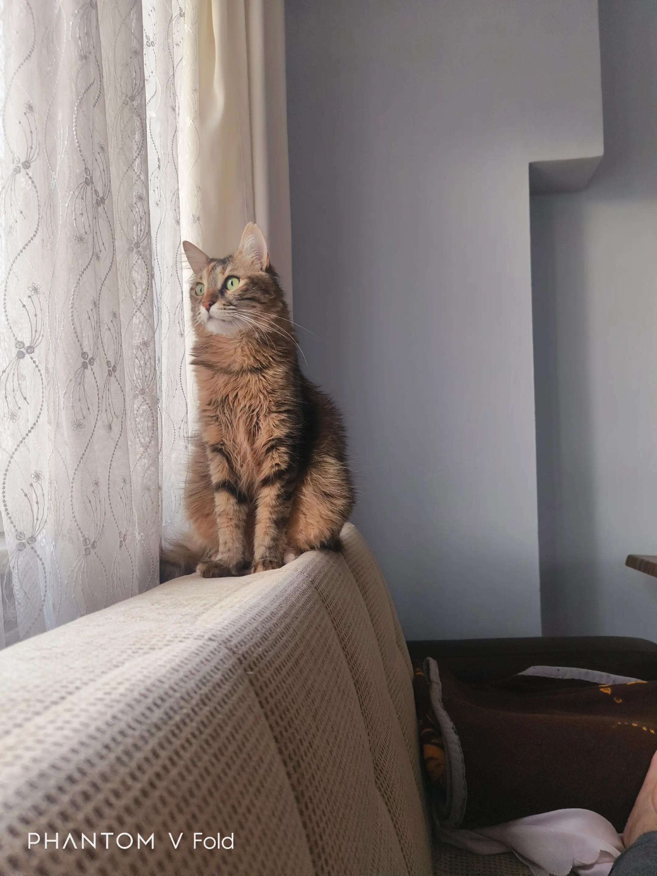 @nazlı sultan