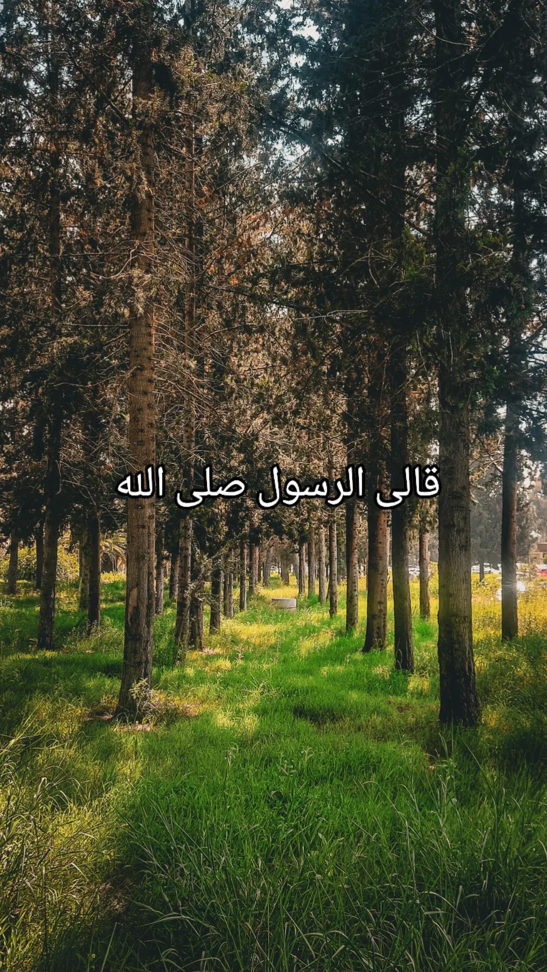 @القرآن الكريم