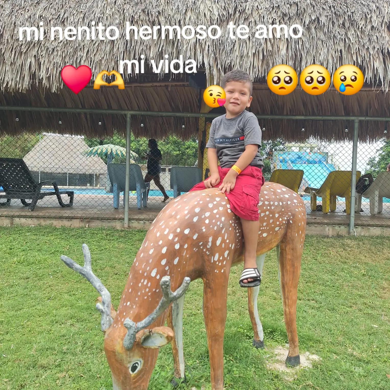 @Viviana Martinez