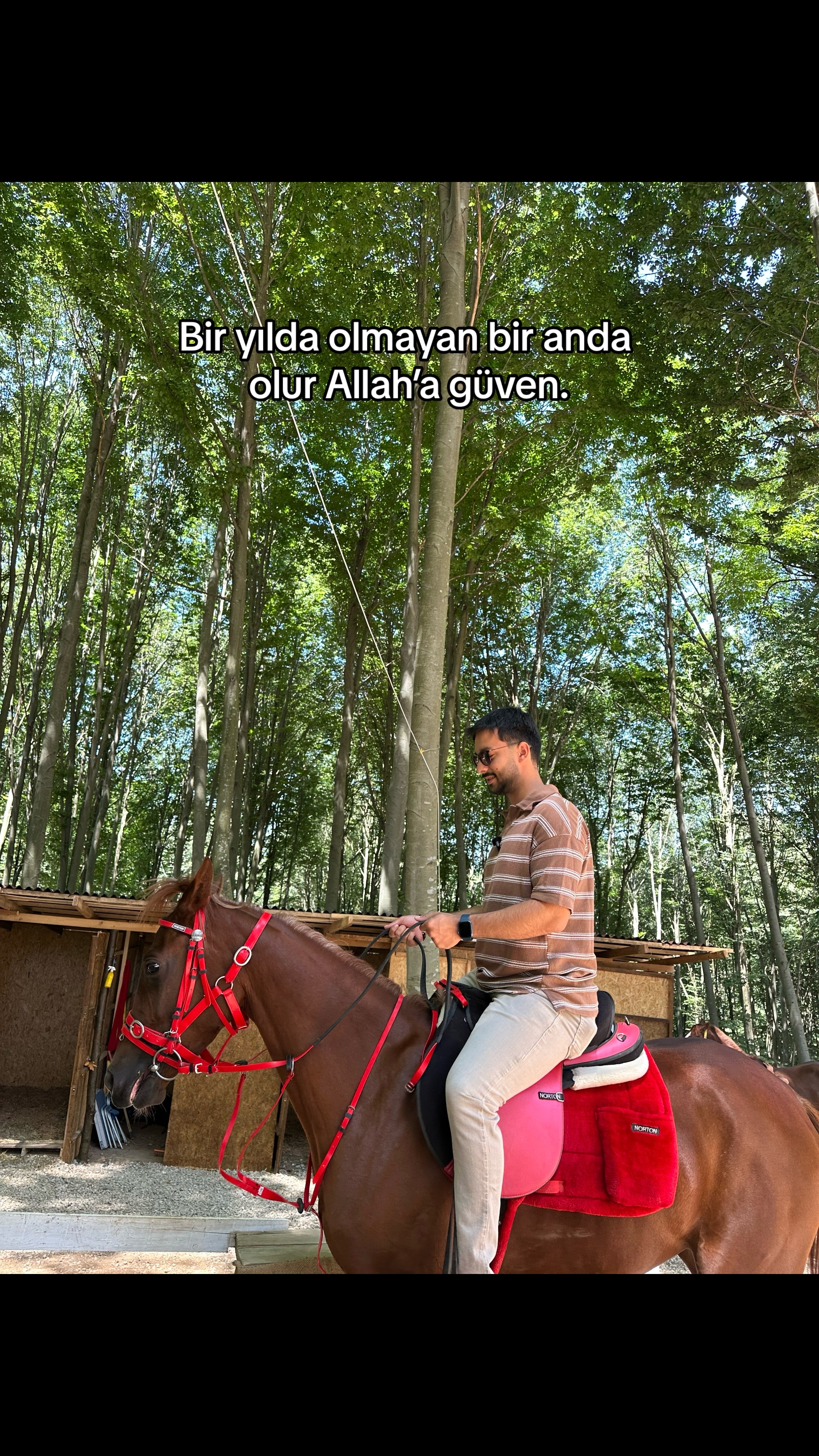 @Alper