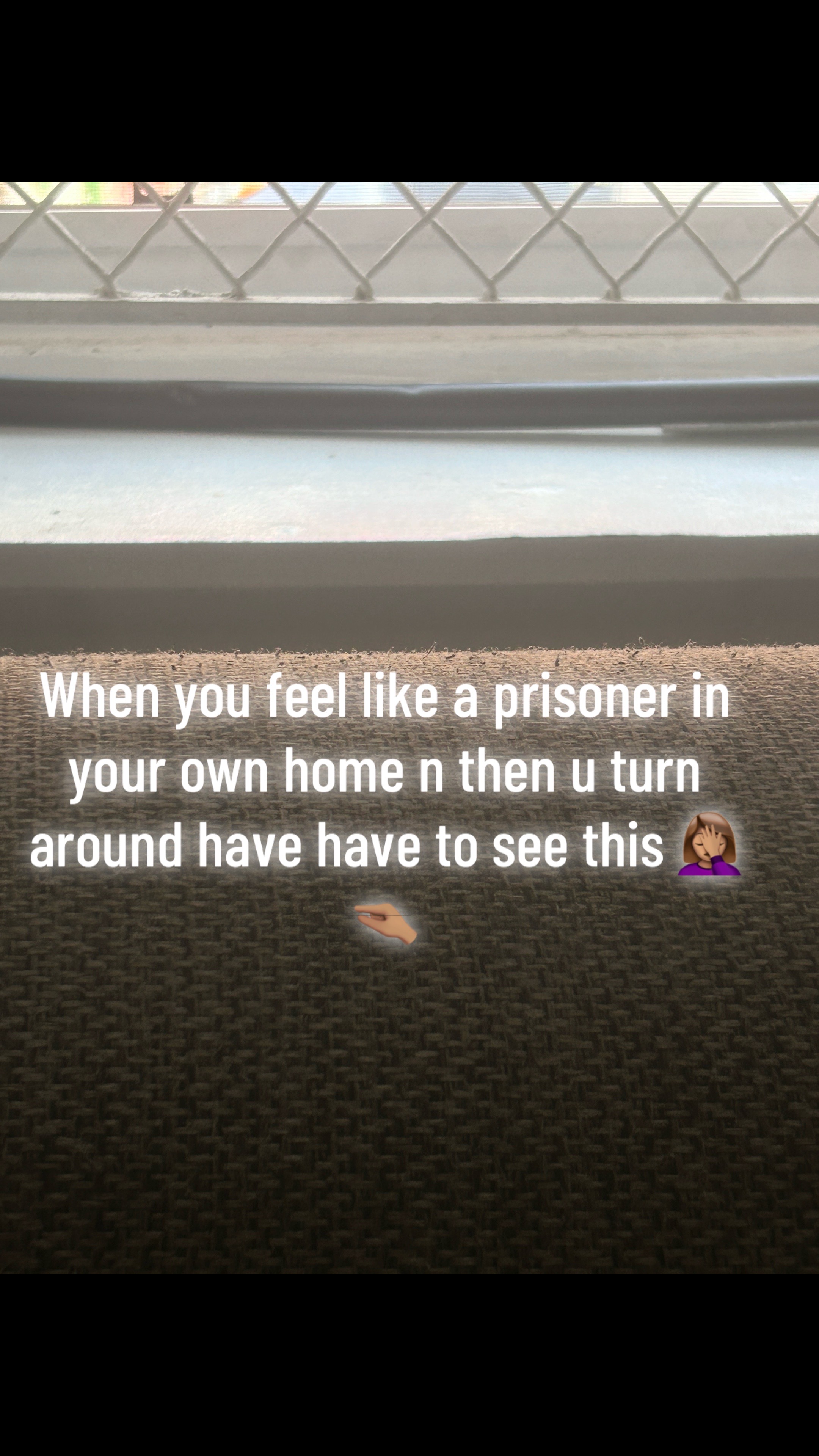 @Halo🥀💋