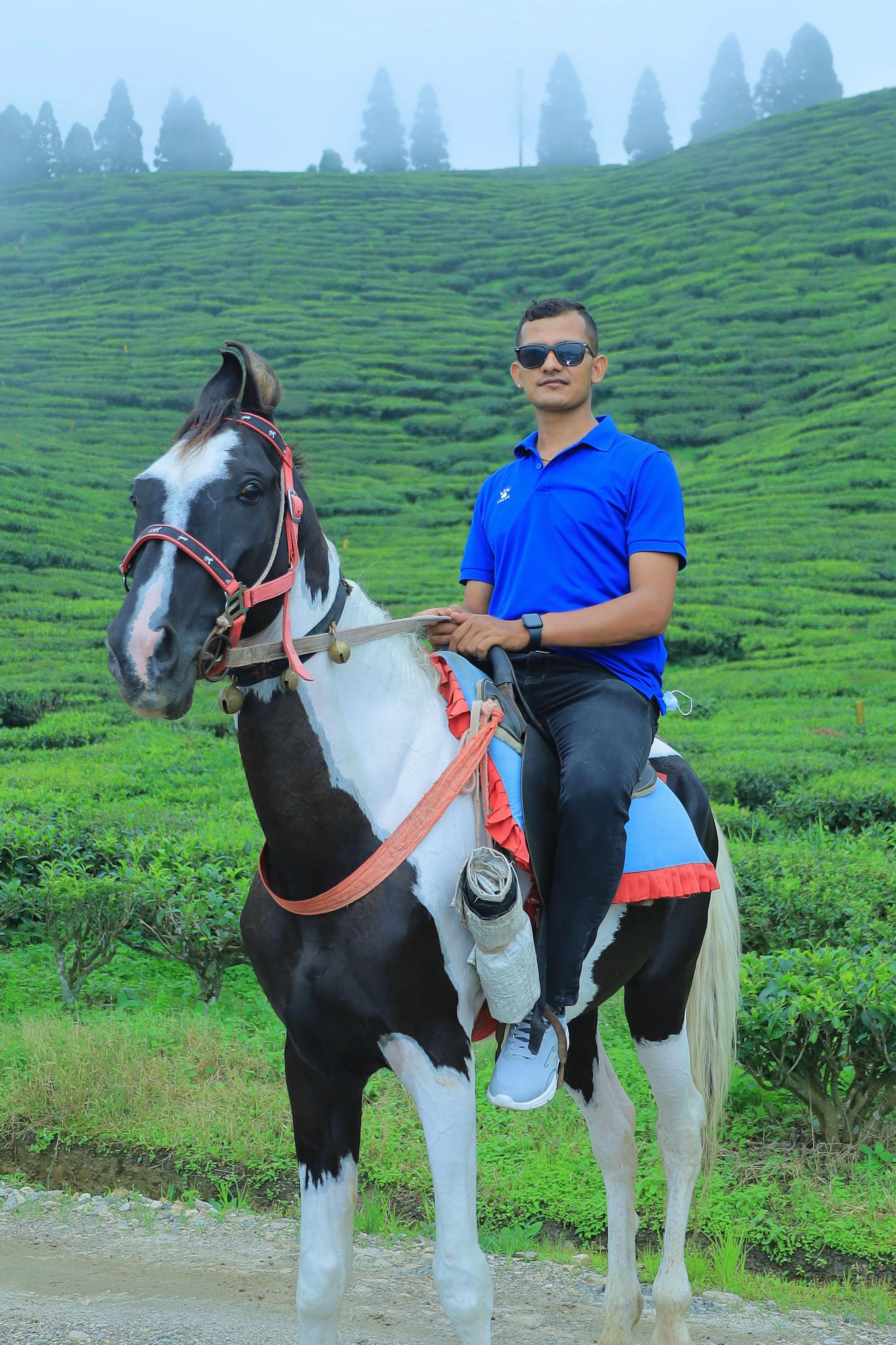@Santosh Sargam🤟