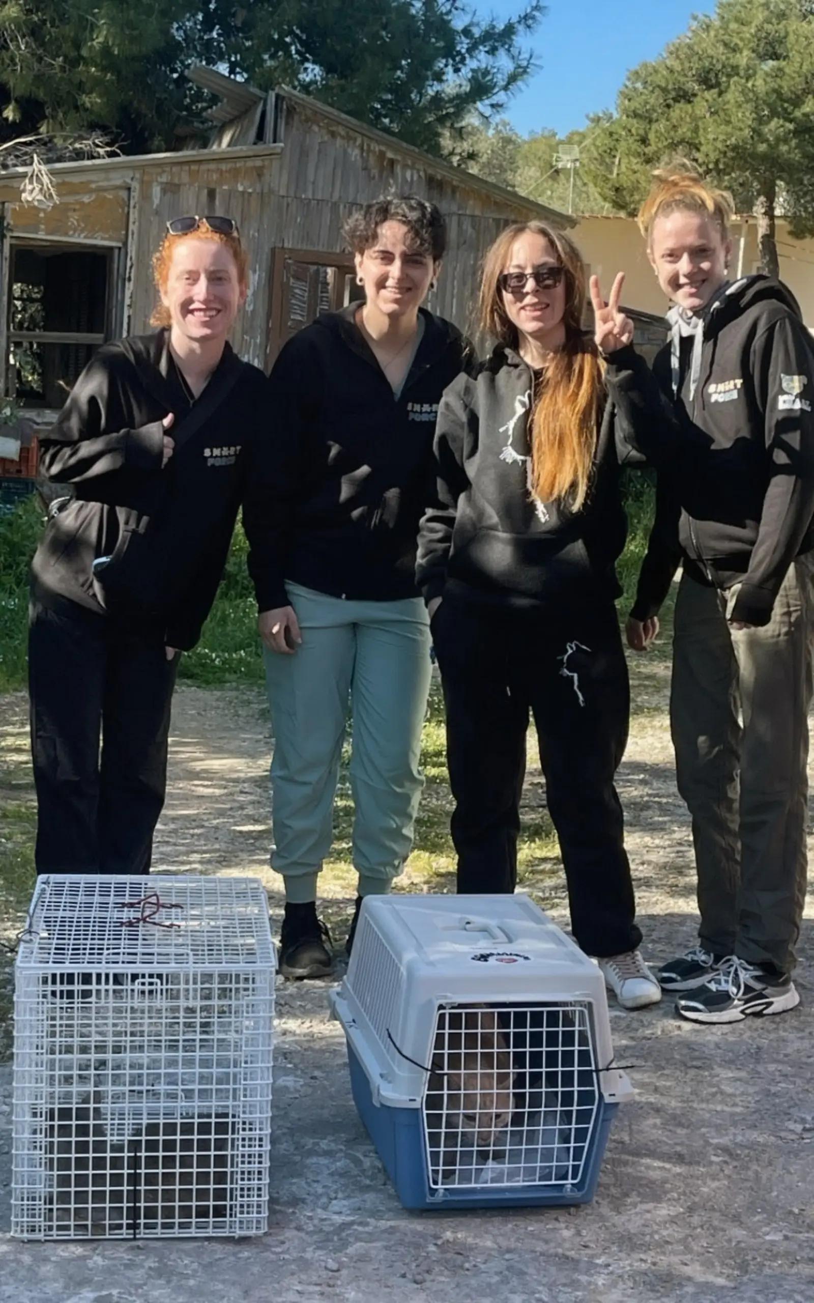 @Greek Animal Rescue