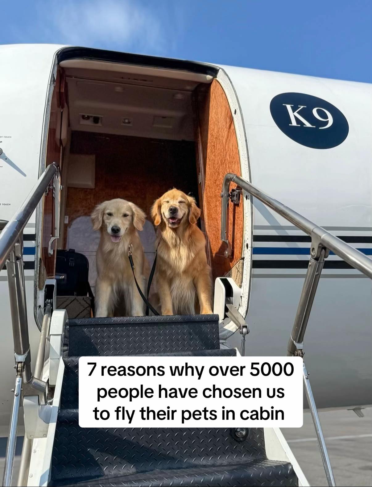@K9 JETS