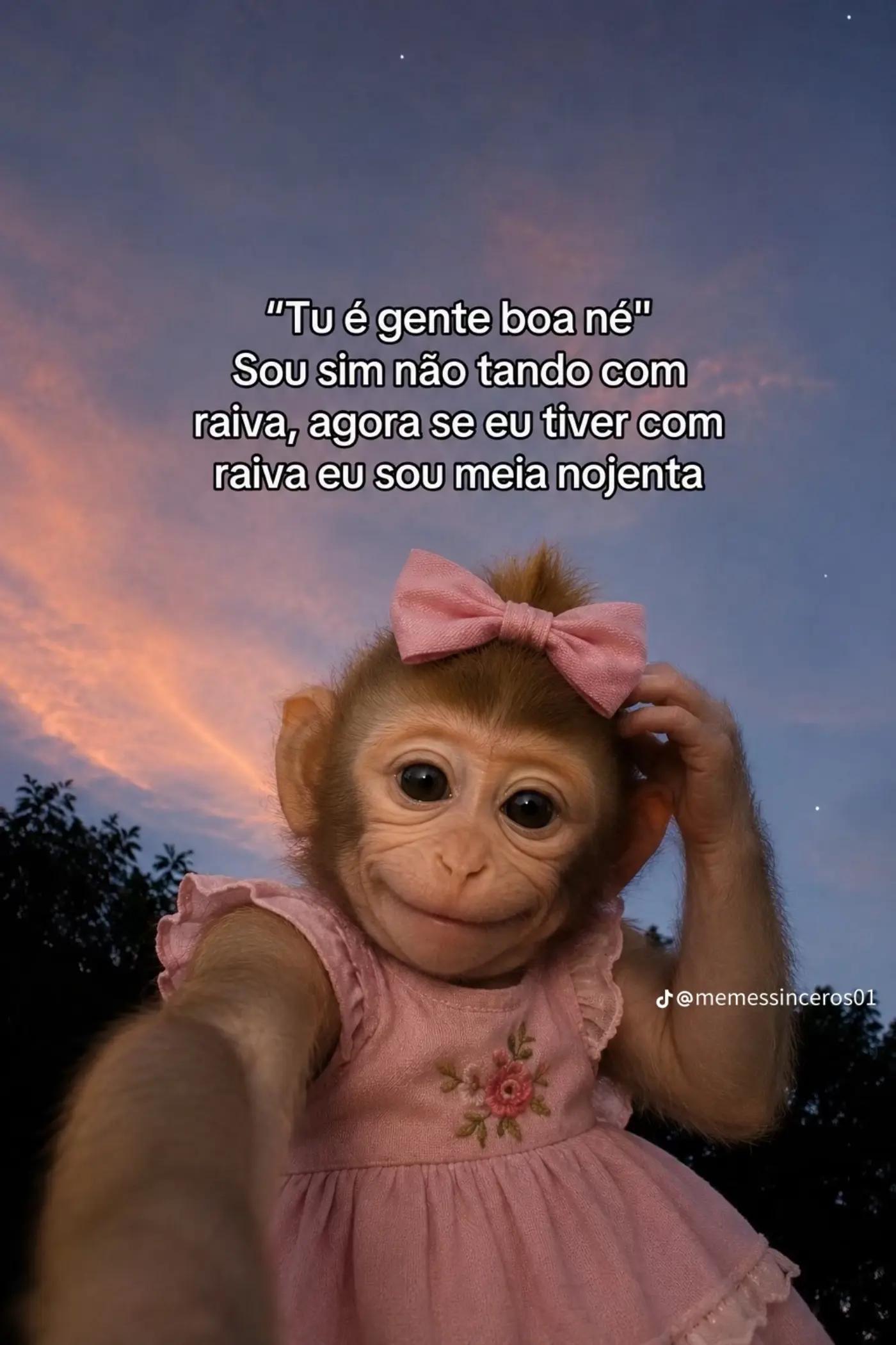 @trechos aleatórios