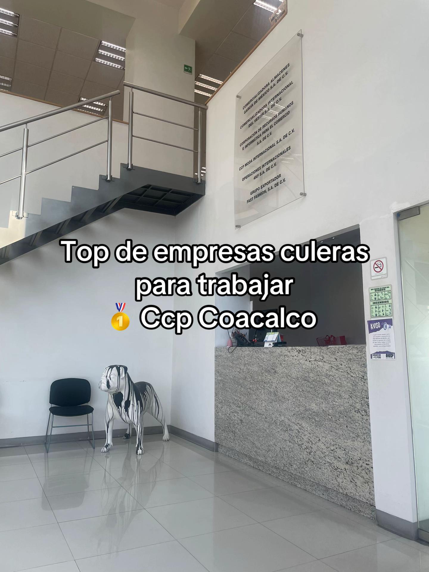 @Jaqueline Castro