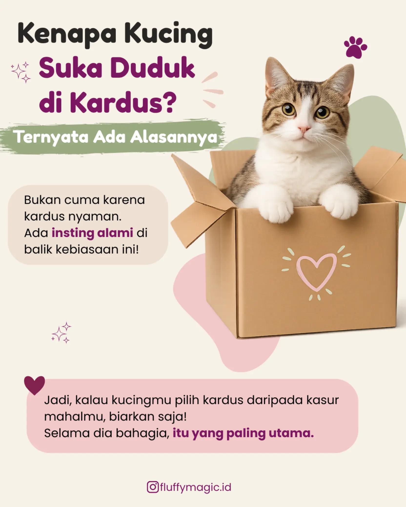 @Fluffy Magic