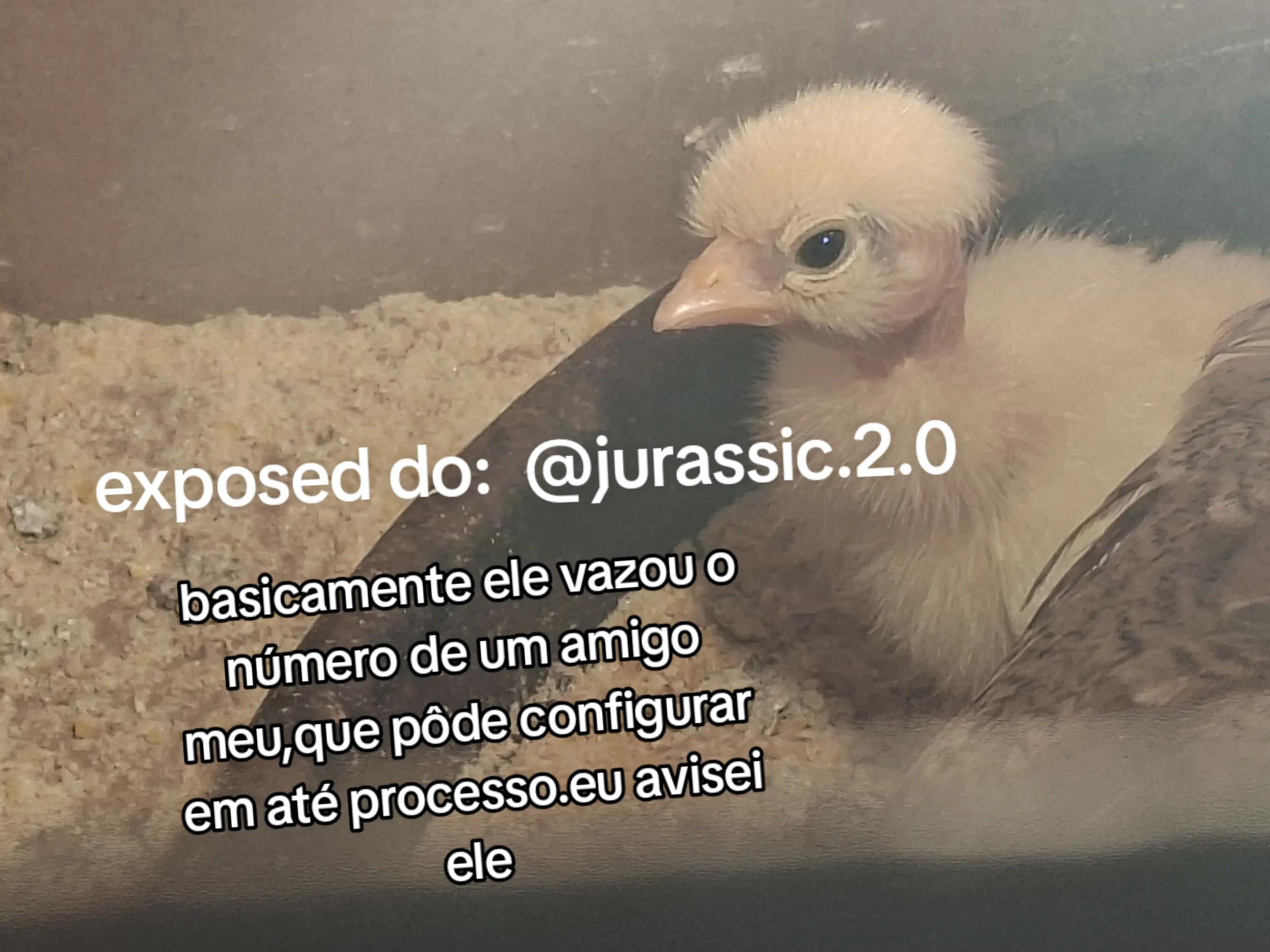 @🦆𝙎𝙥𝙞𝙣𝙤/𝙨𝙣𝙤𝙘𝙠🦆