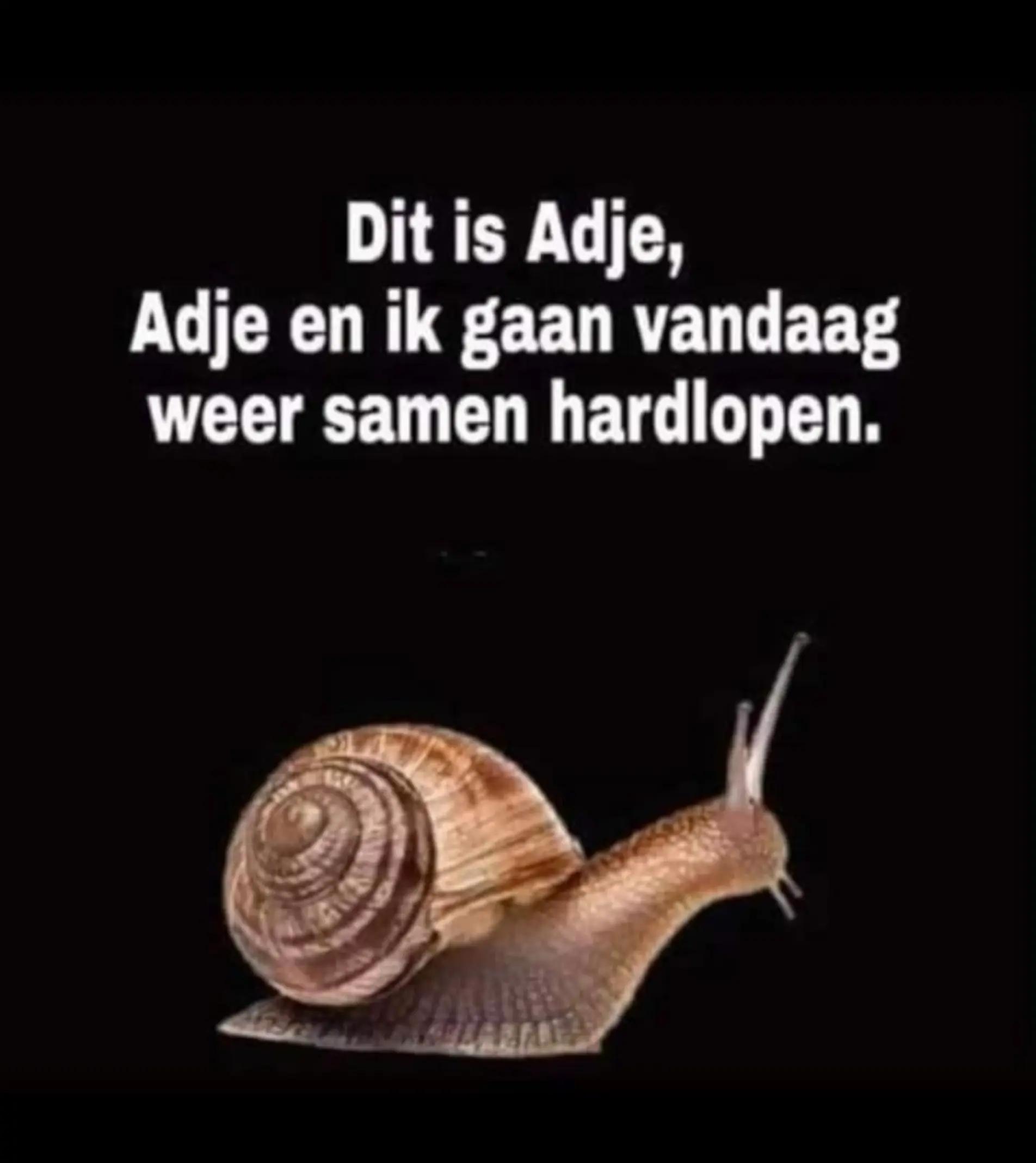@willem
