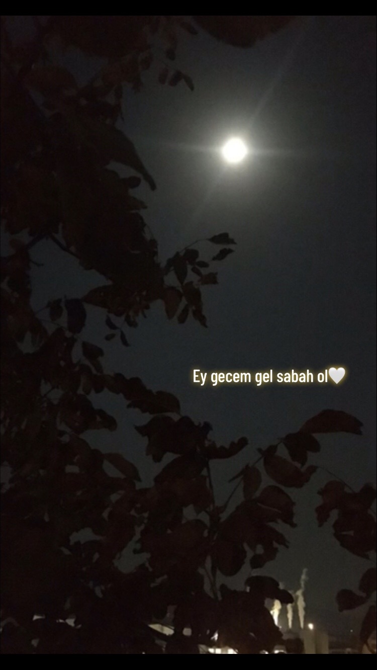 @ᯓᡣ𐭩𝔊𝔞𝔪𝔷𝔢 ᡣ𐭩 ᯓ