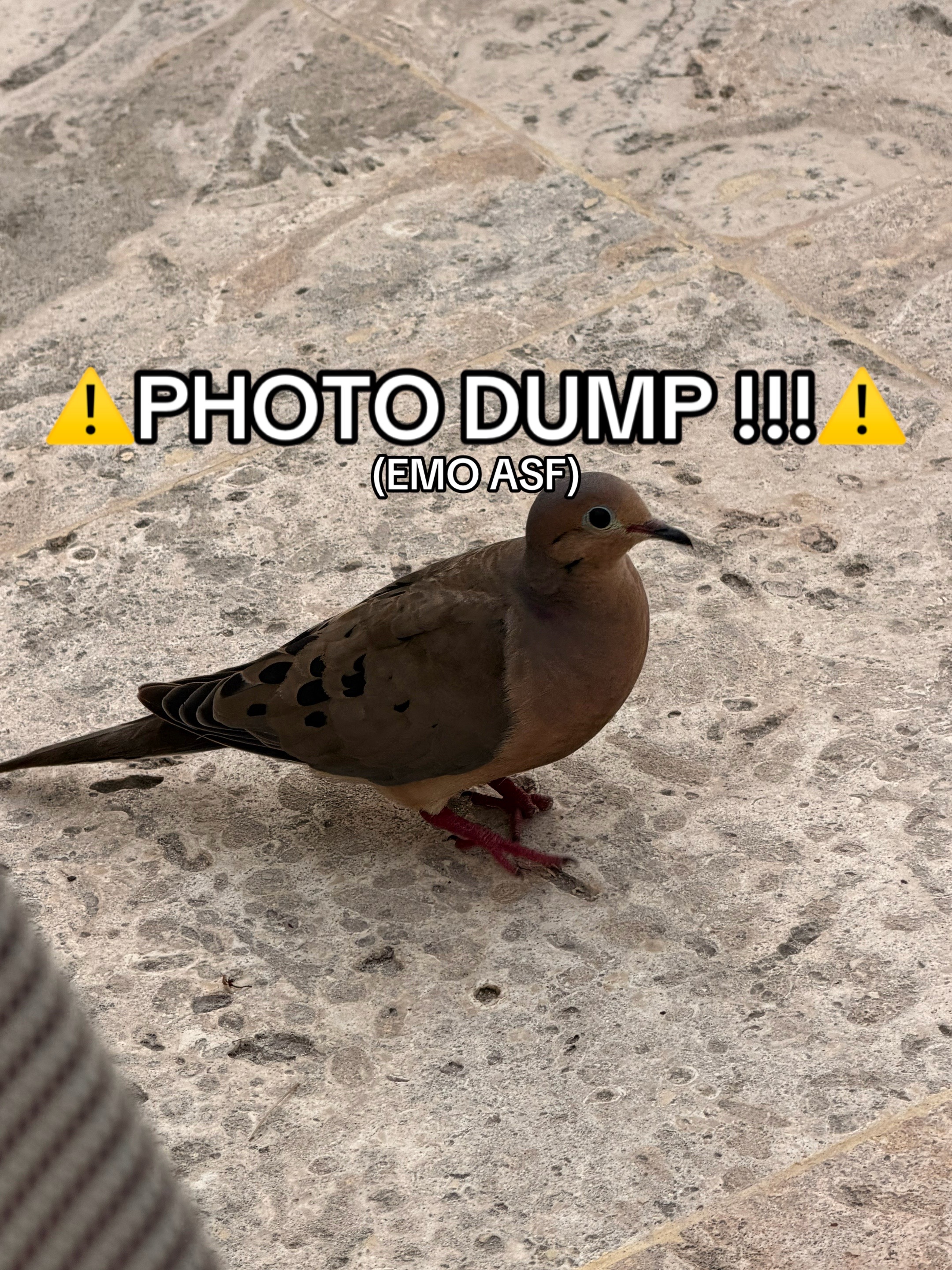 @ᗩᒪYᑕᗩT