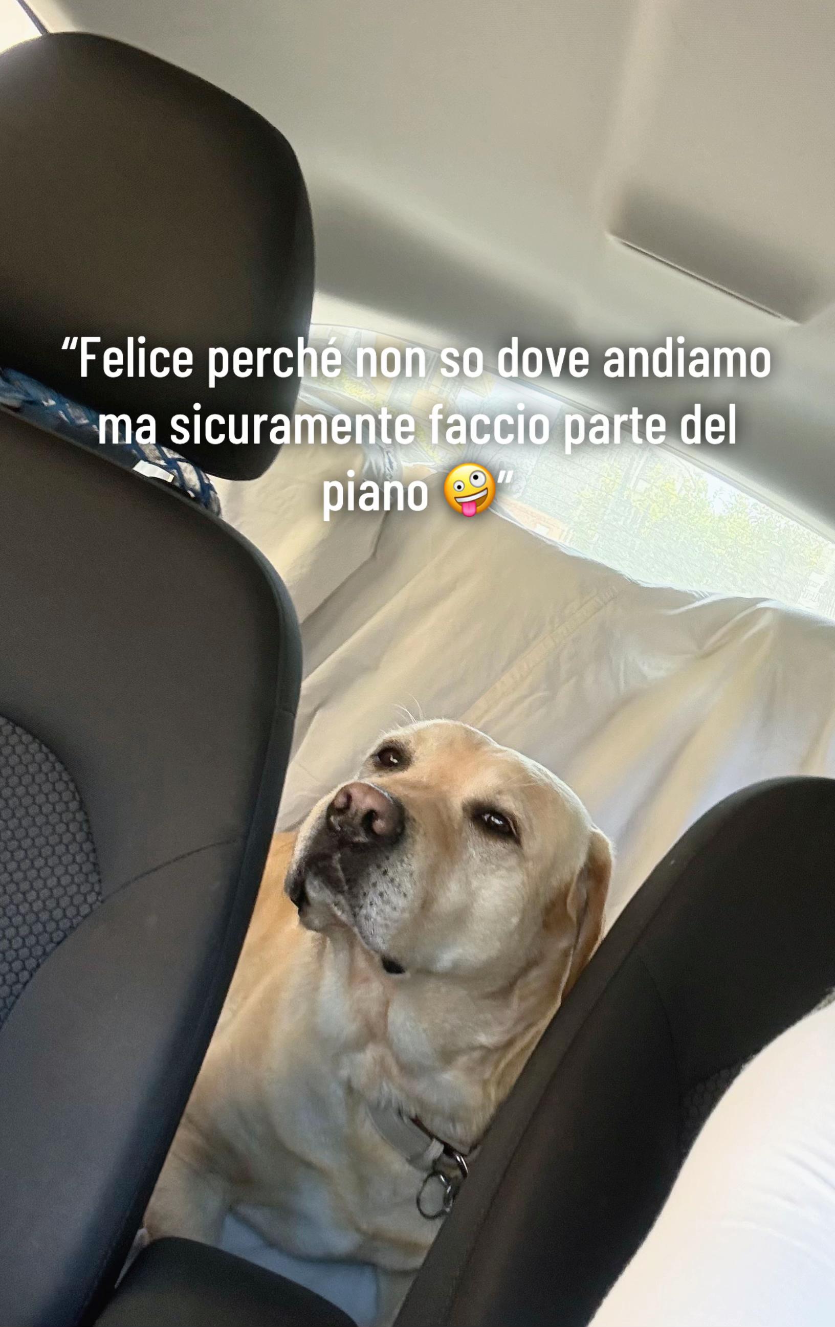 @Lia Di Palma