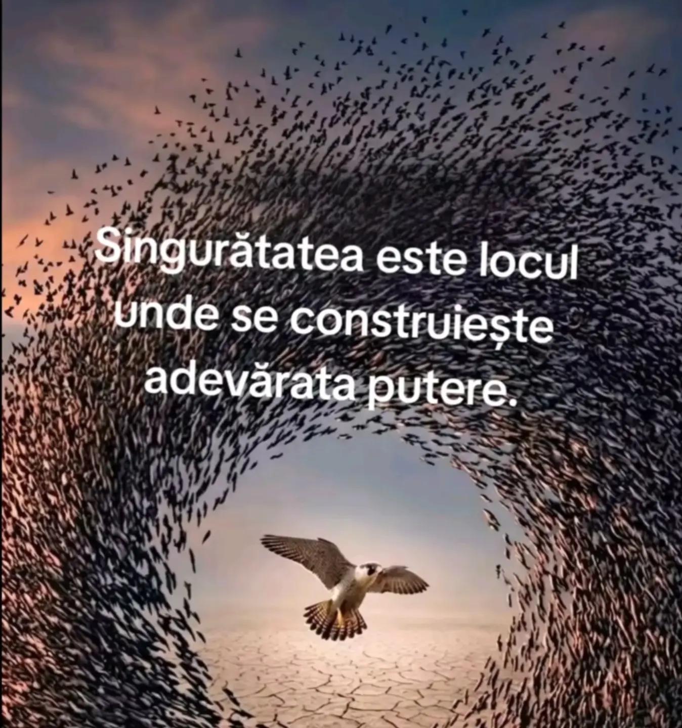 @Ana Maria Frangulea
