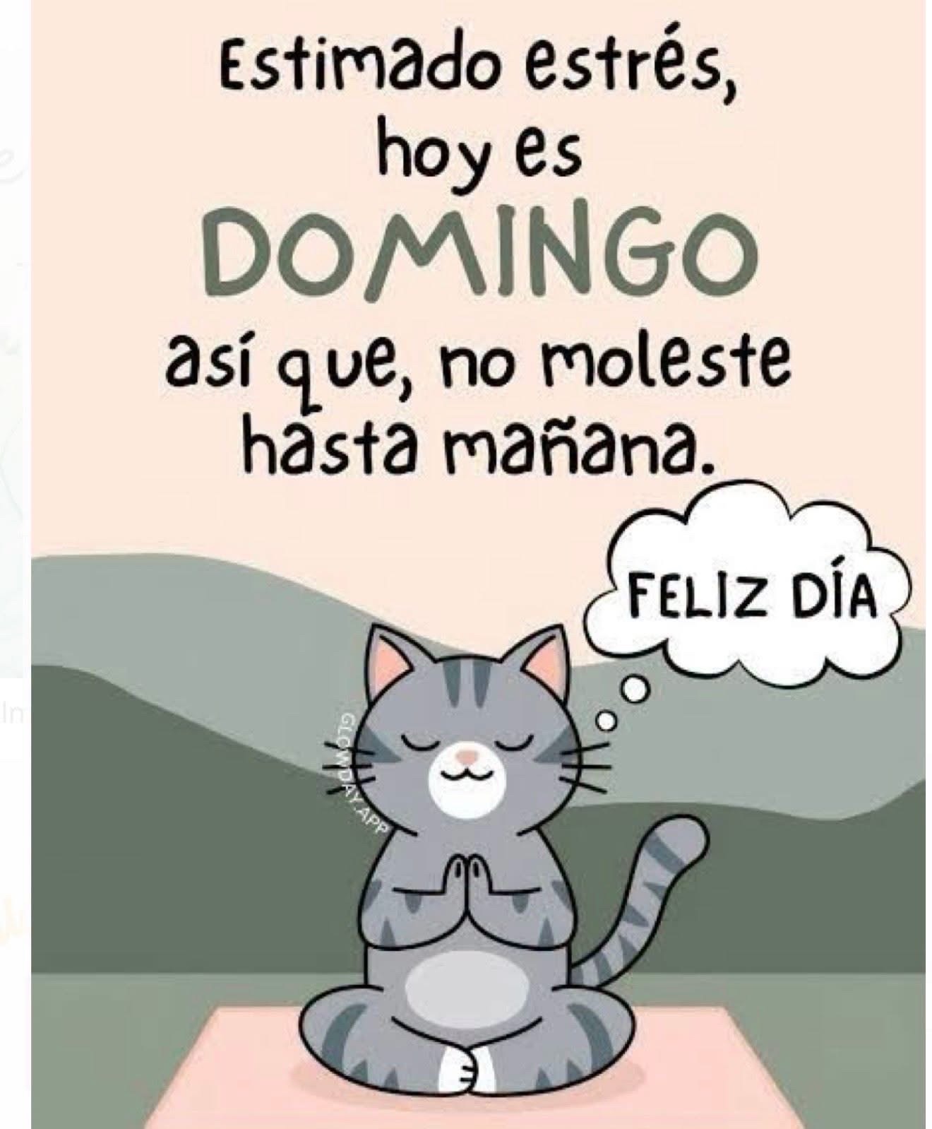 @Maria Gamez