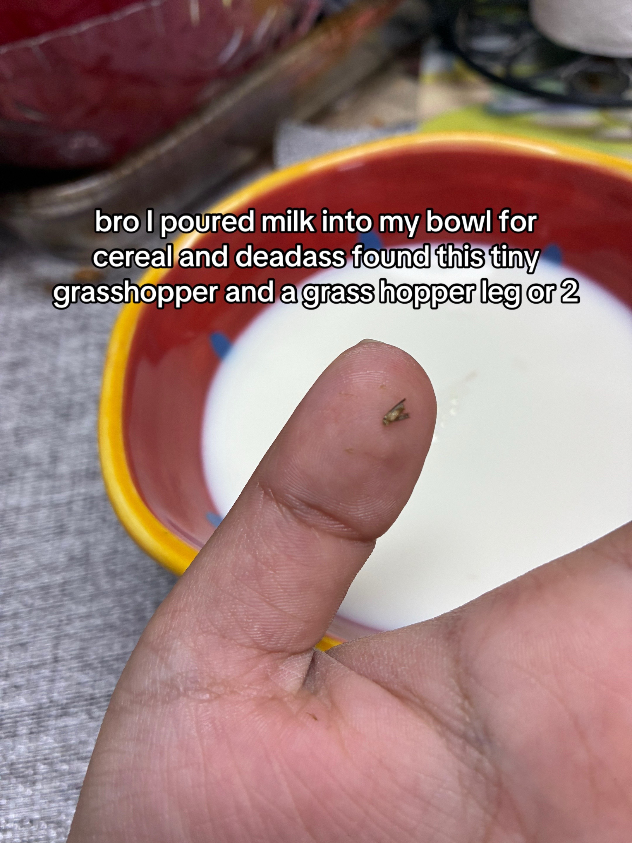 @sonic_boy661🦤