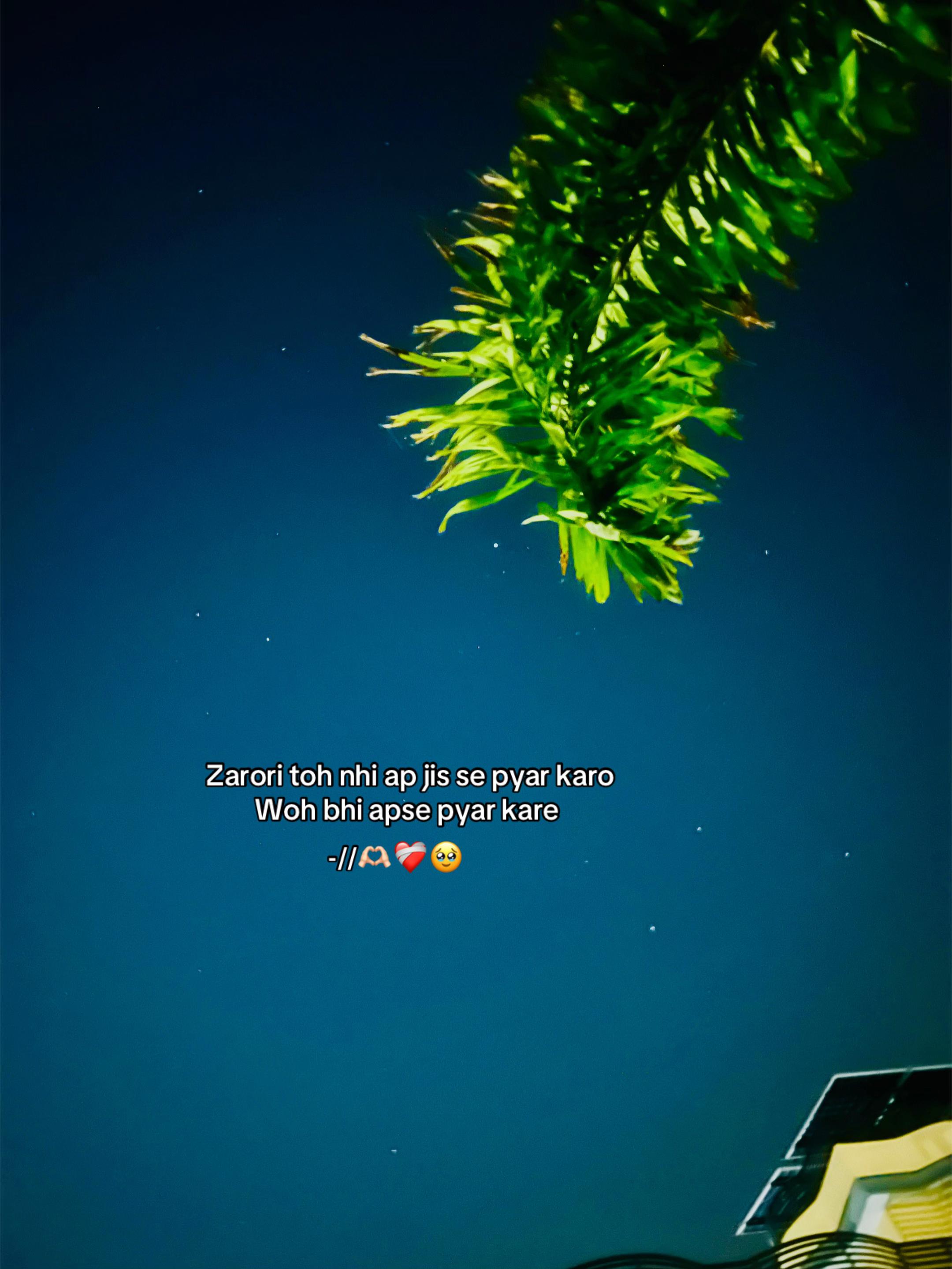 @Adeel012