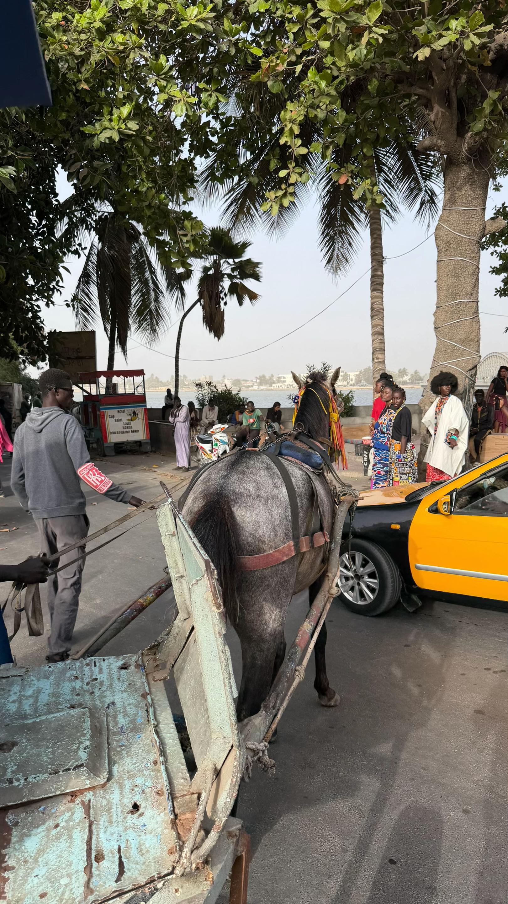 @🇸🇳 oomar 🫶