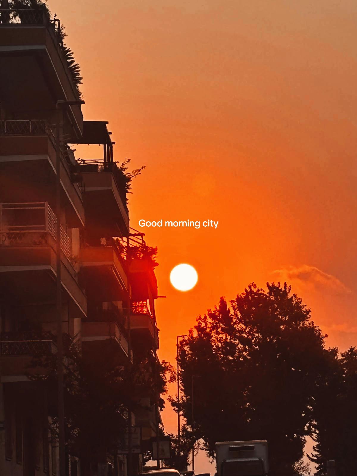@palmtreeskid