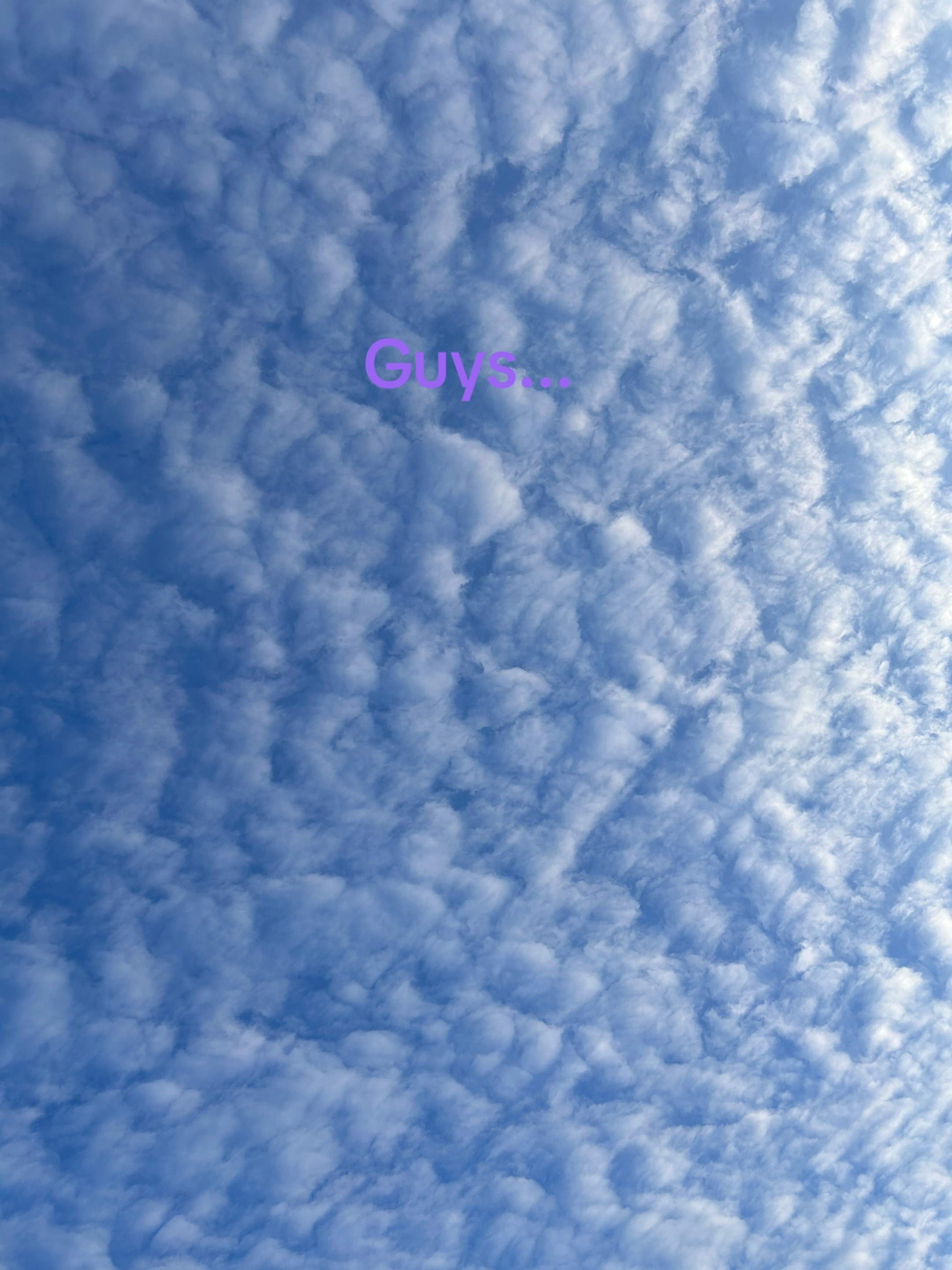 @🧺🩷💜𝓫𝓪𝓼𝓼𝓲𝓮💜🩷🧺