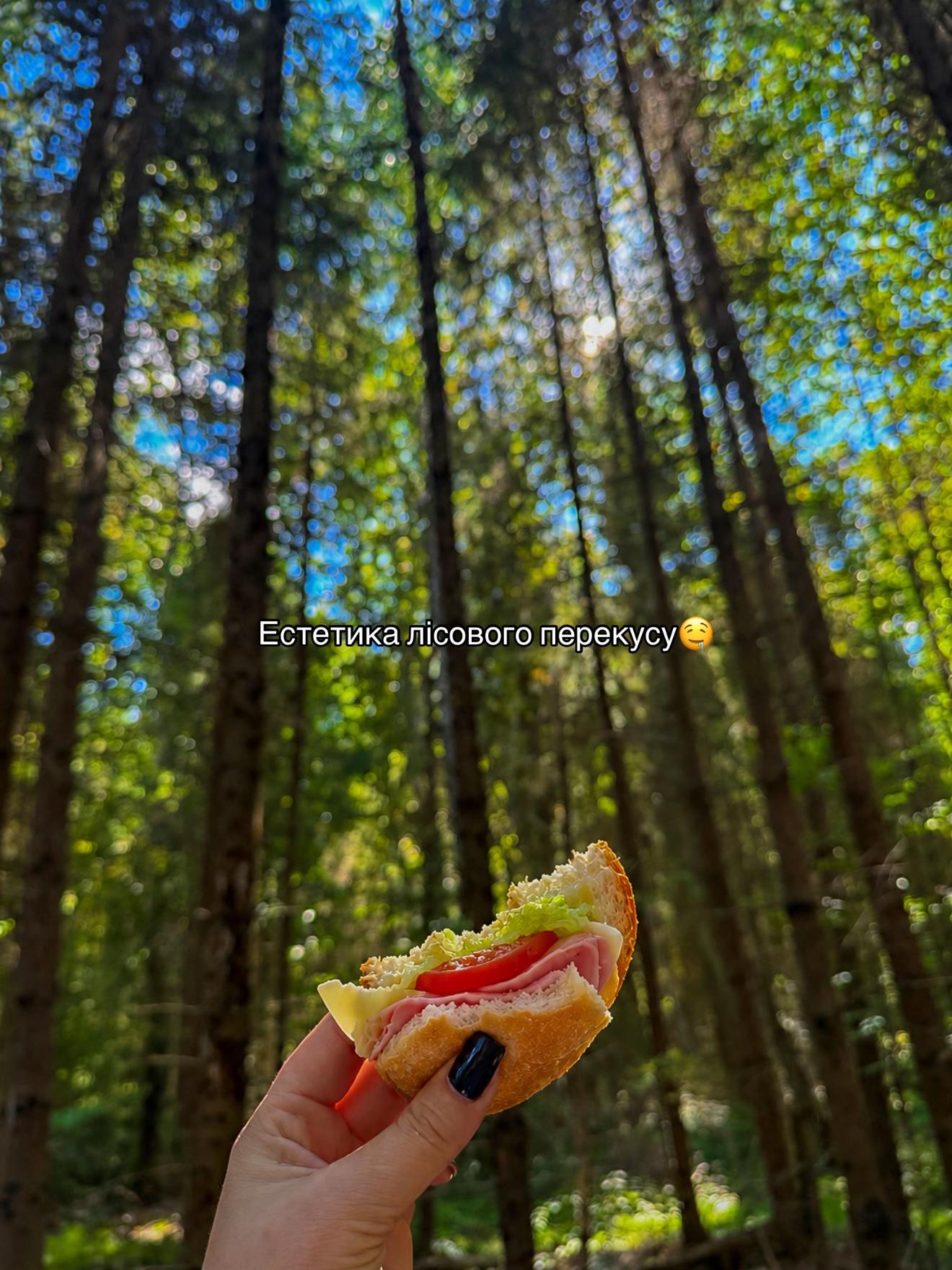 @𝐕I𝐊𝐓𝐎𝐑𝐈𝐀 𝐓𝐈𝐆𝐑𝐄𝐒🐅