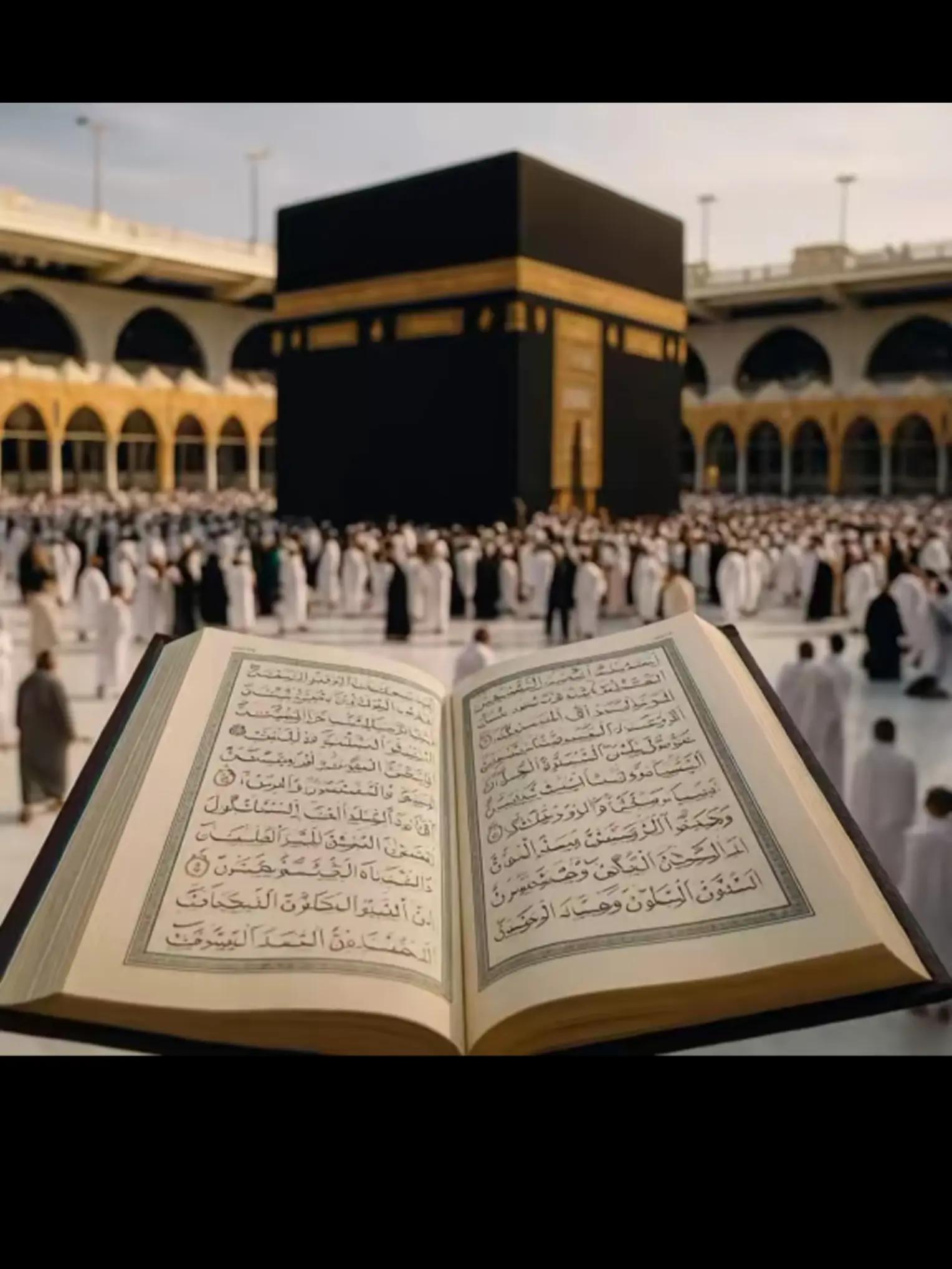 @Vibe_Master_Umar🇵🇰🪖