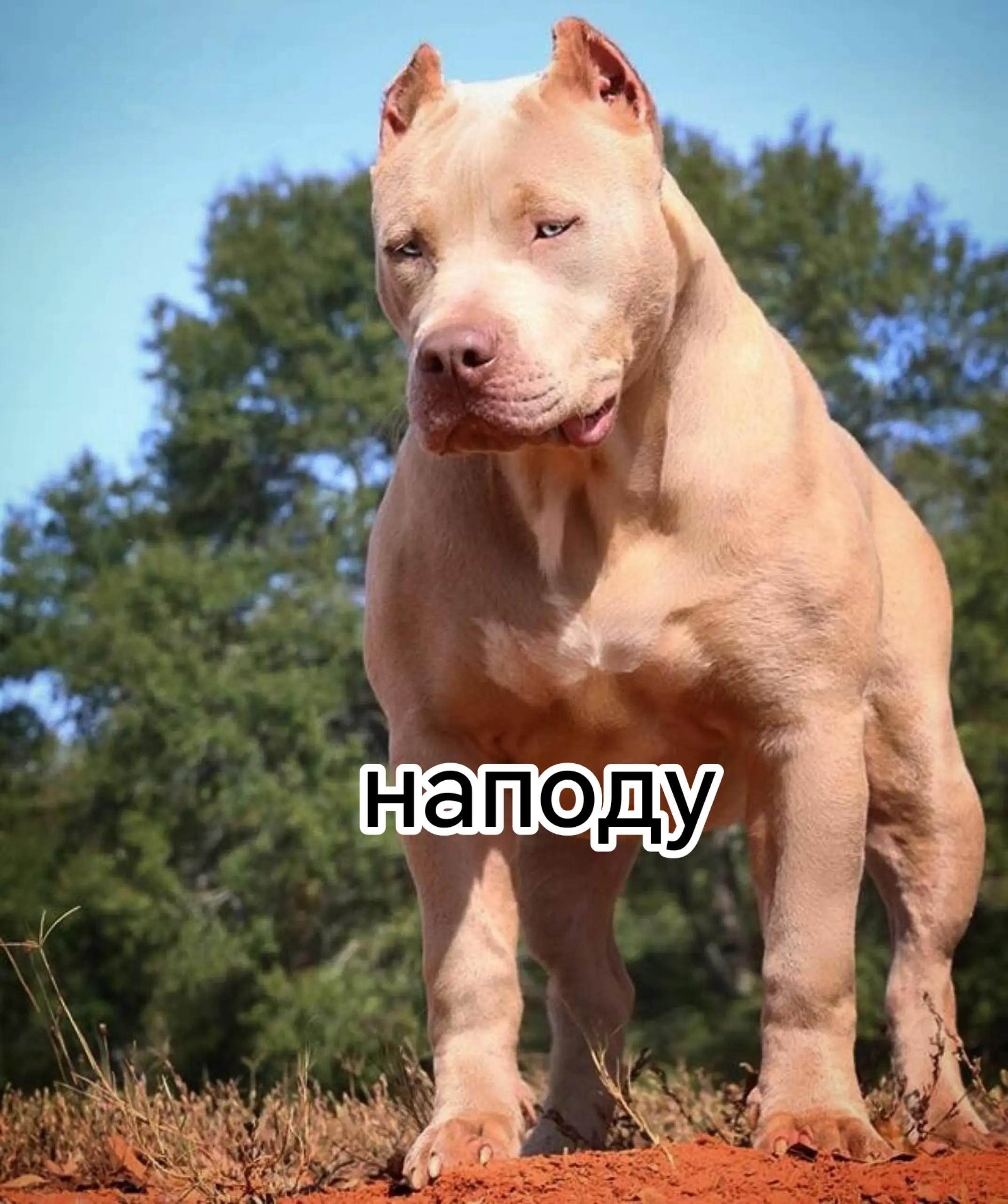 @Анна Азизян