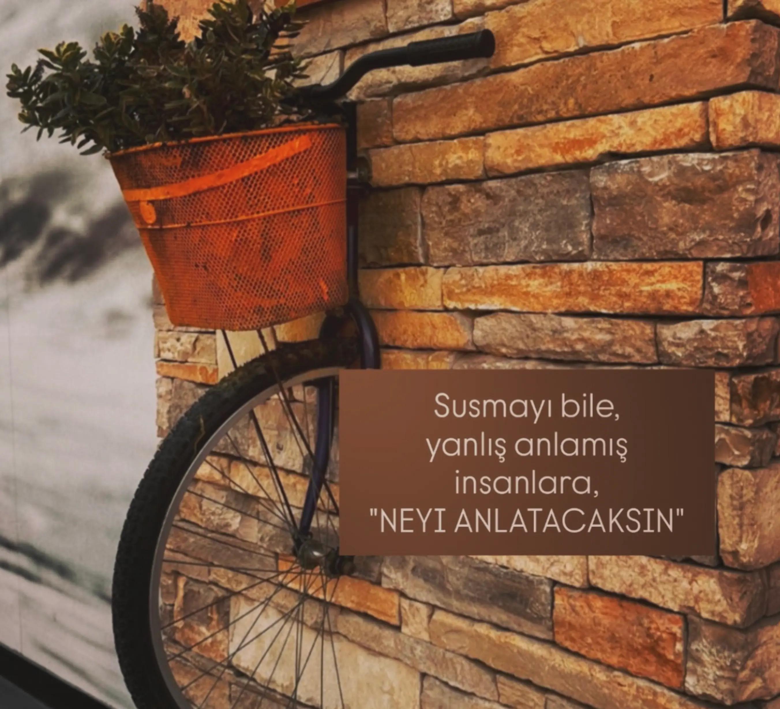 @Ceren Şentürk