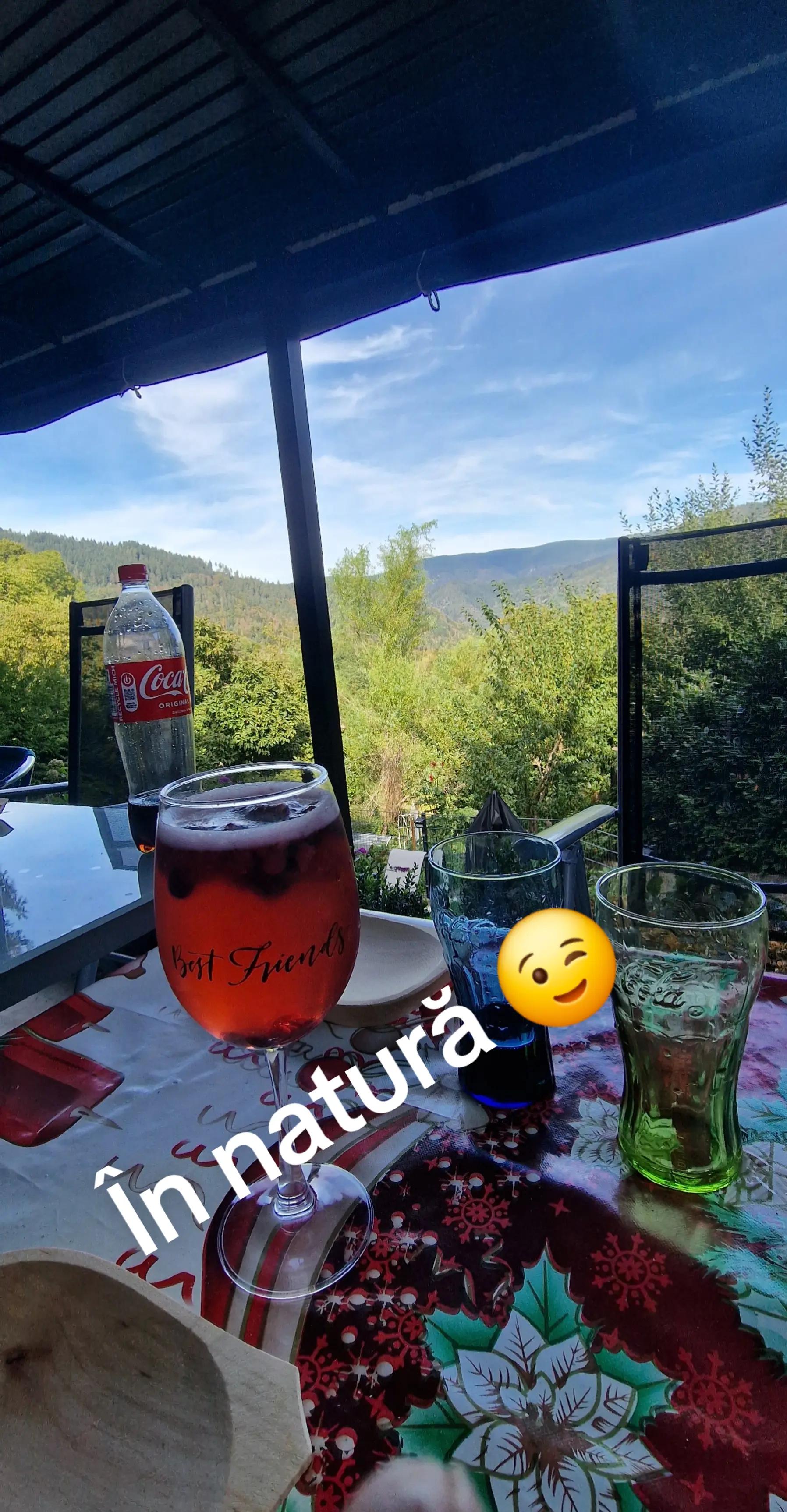 @Mihai Marica279
