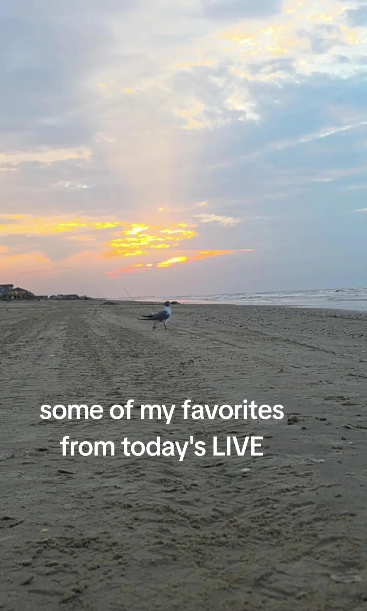 @BeachDayz40