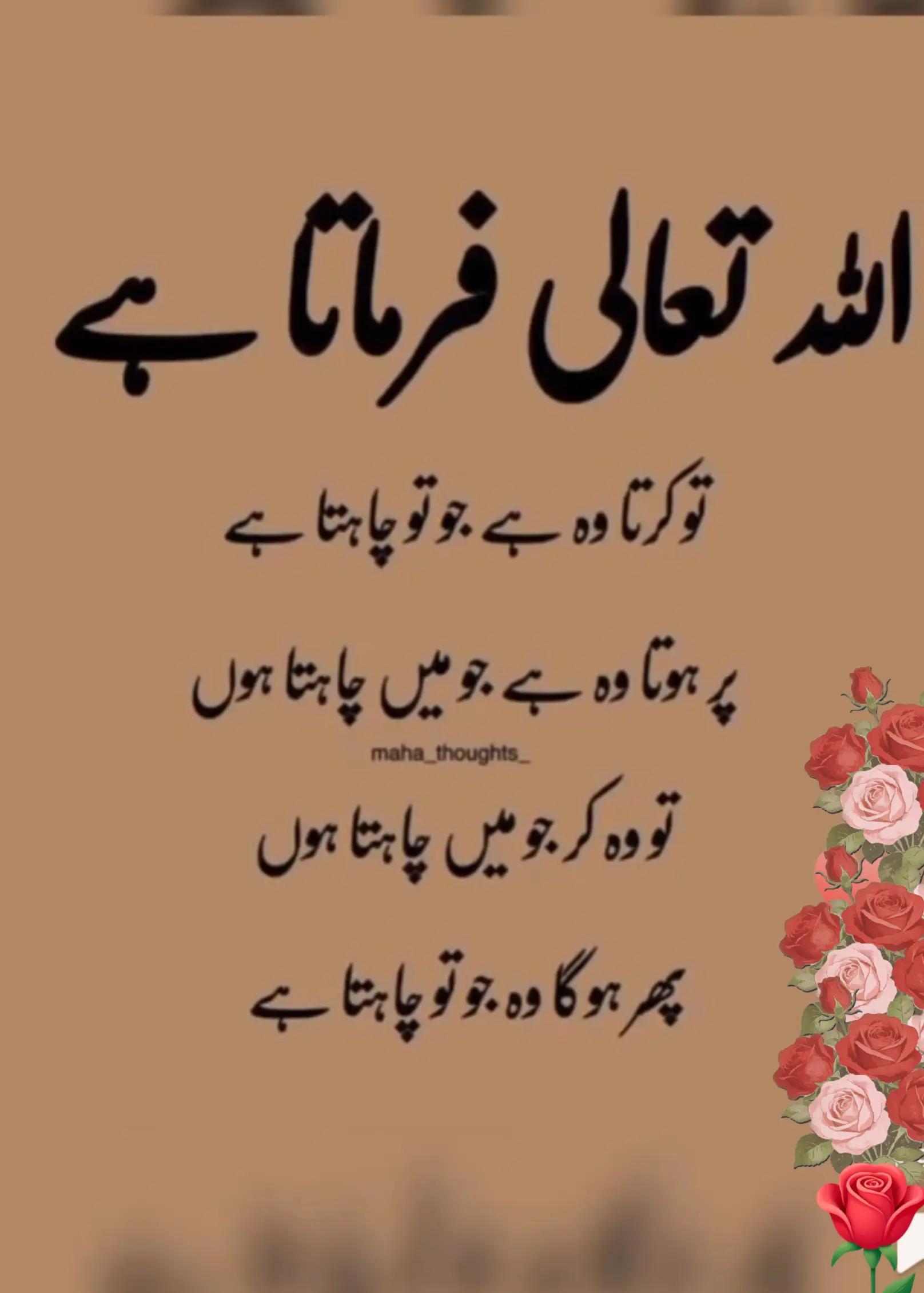@Koko Khan