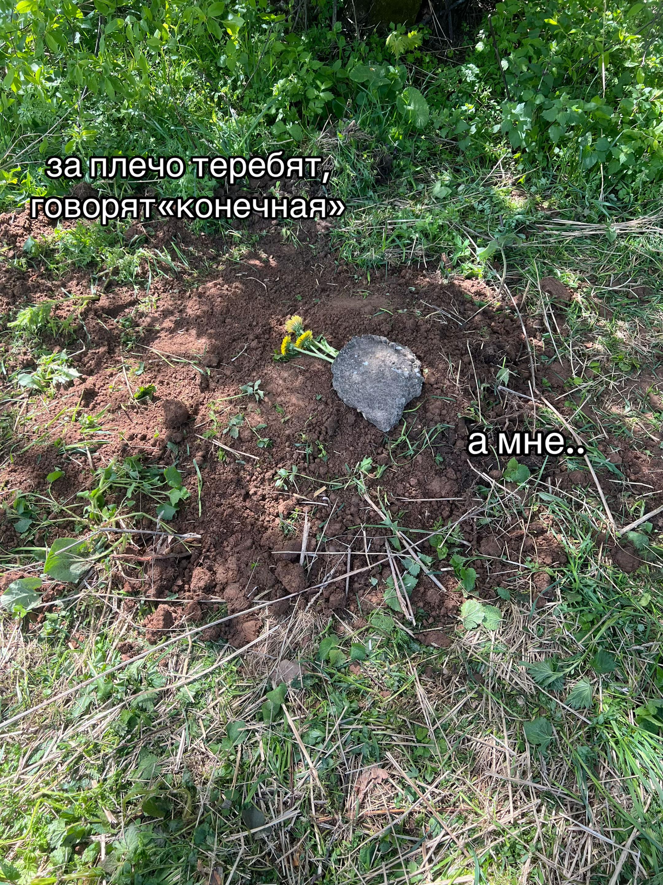 @челкастаяя