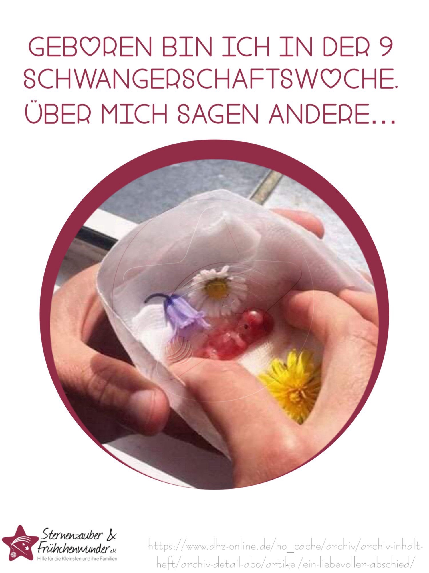 @Sternenzauber&Fr&uuml;hchenwunder