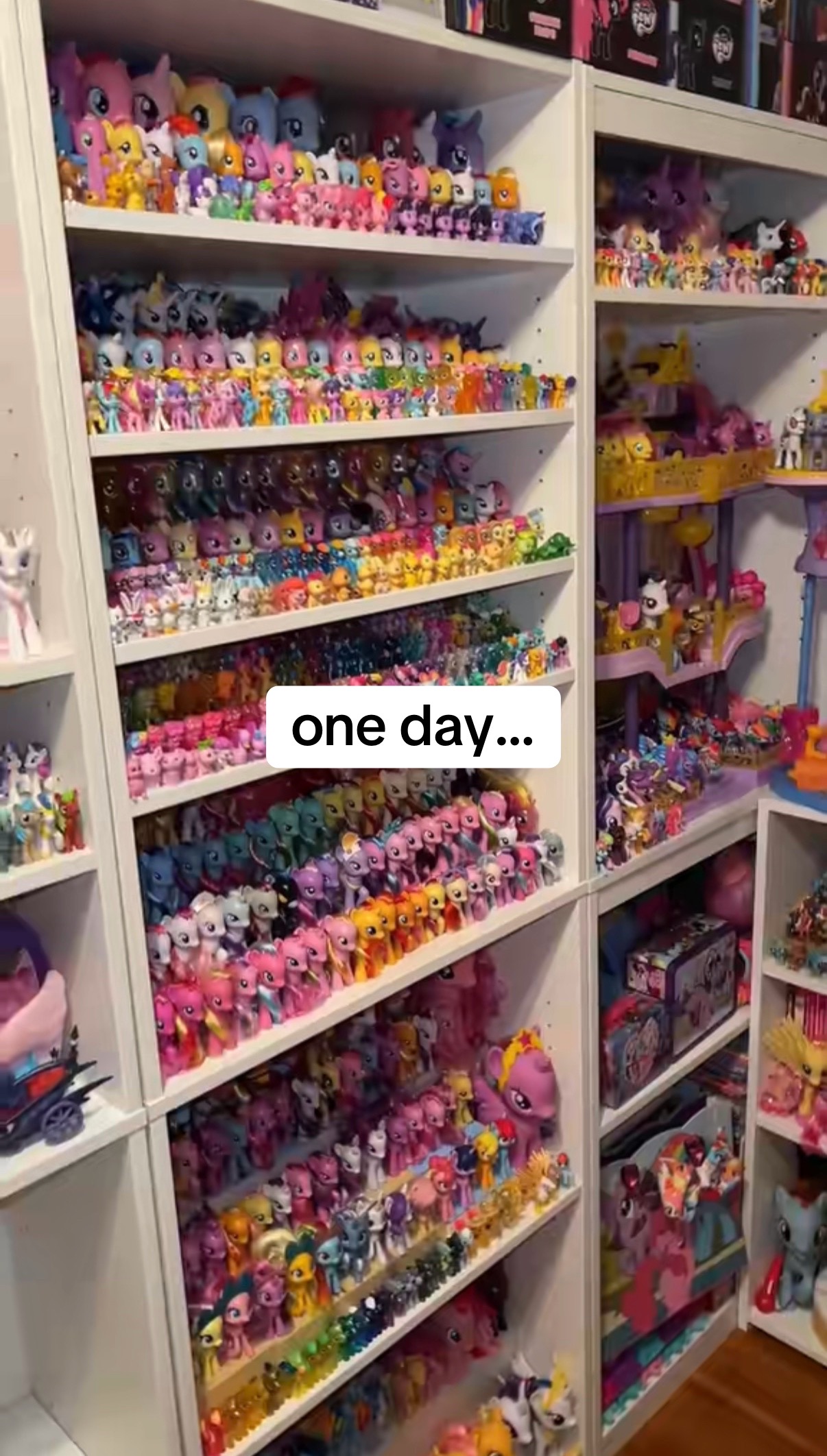 @MLPkingdom